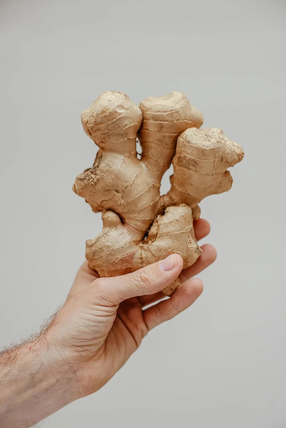 Vitalem Jengibre Fresco 1 kg Ecológico Raíz Natural Ginger
