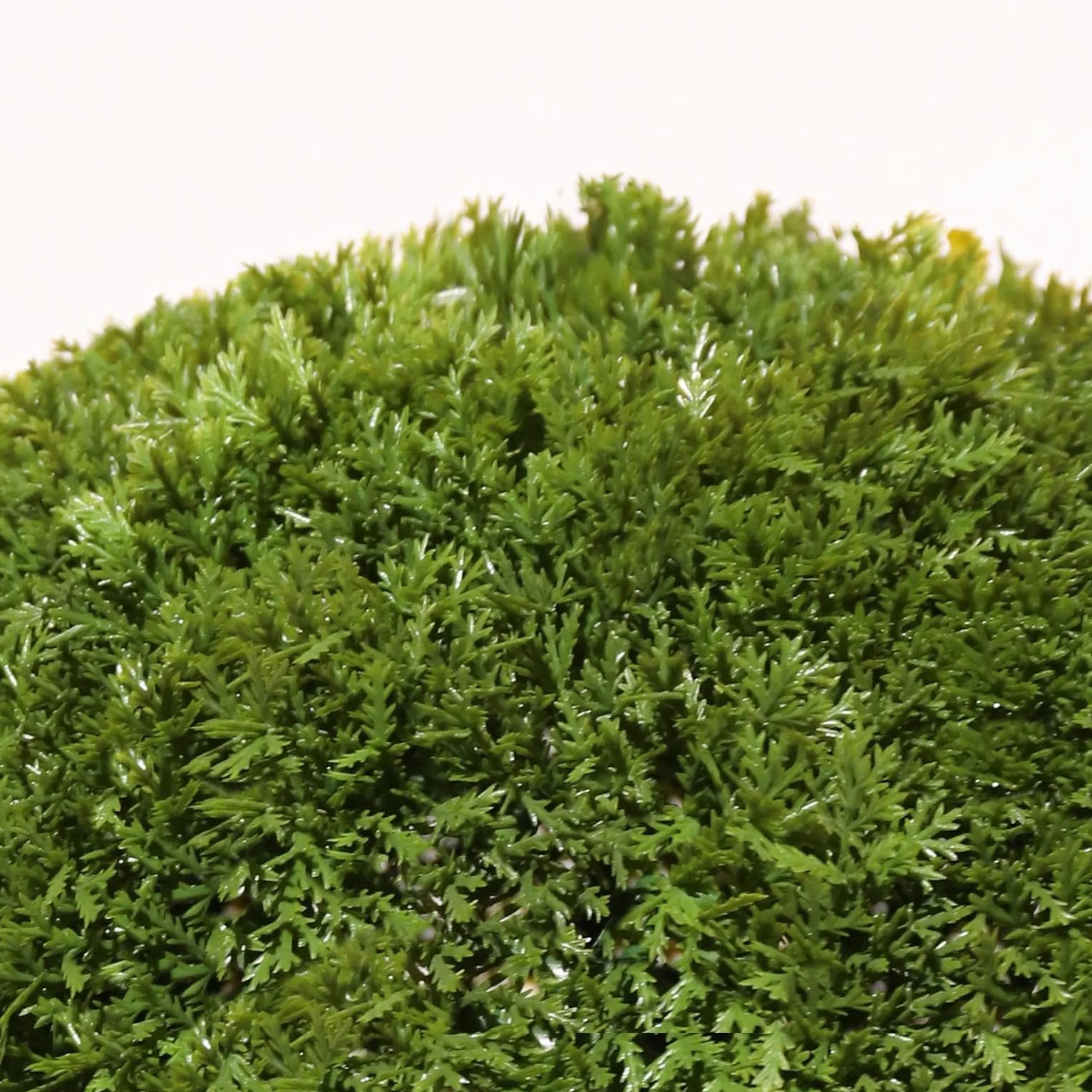 Bola de Boj Artificial Kenia 33 cm de diámetro | Esfera Artificial Exterior con Protección UV 5 Años | Topiario Decorativo para Jardín, Terraza y Entrada