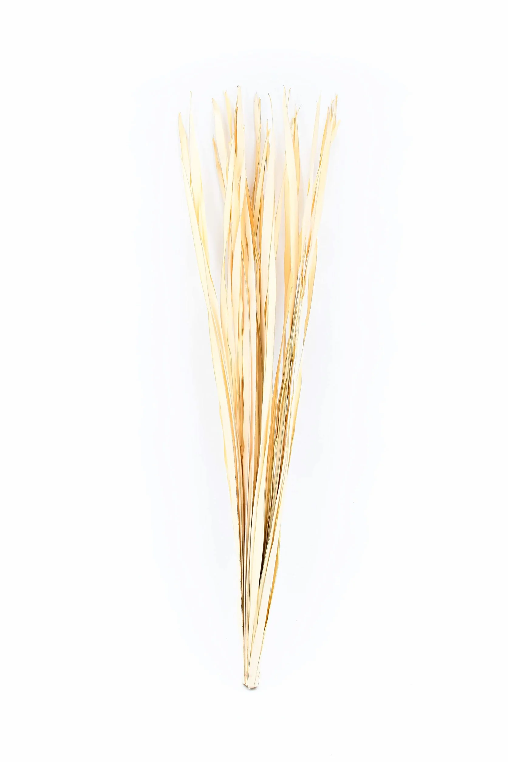 LEEWADEE Decoración Jarrón Suelo - Hojas de Palma Secas 115 cm Natural, Set 2 Ramos