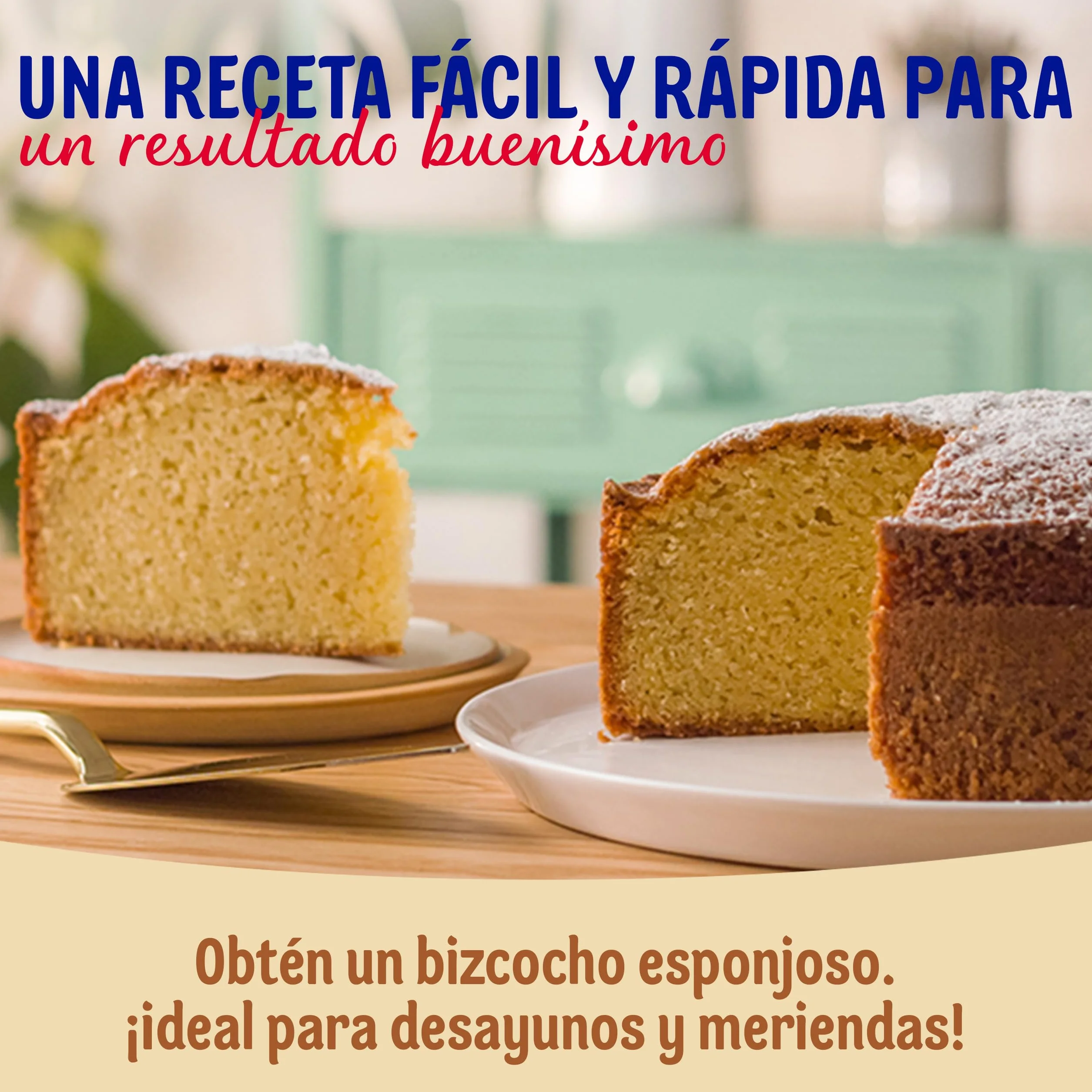 DR. OETKER Bizcocho Casero, preparado de repostería para bizcocho esponjoso 340 g con sobre de azúcar glas 10 g