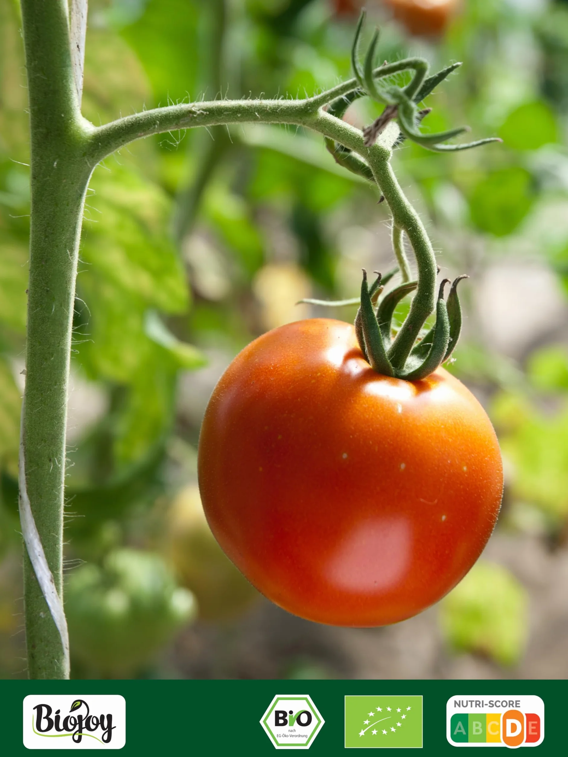 Biojoy Tomates secos BÍO sin aceite 1 kg sin conservantes sulfurosos 7% Sal de roc