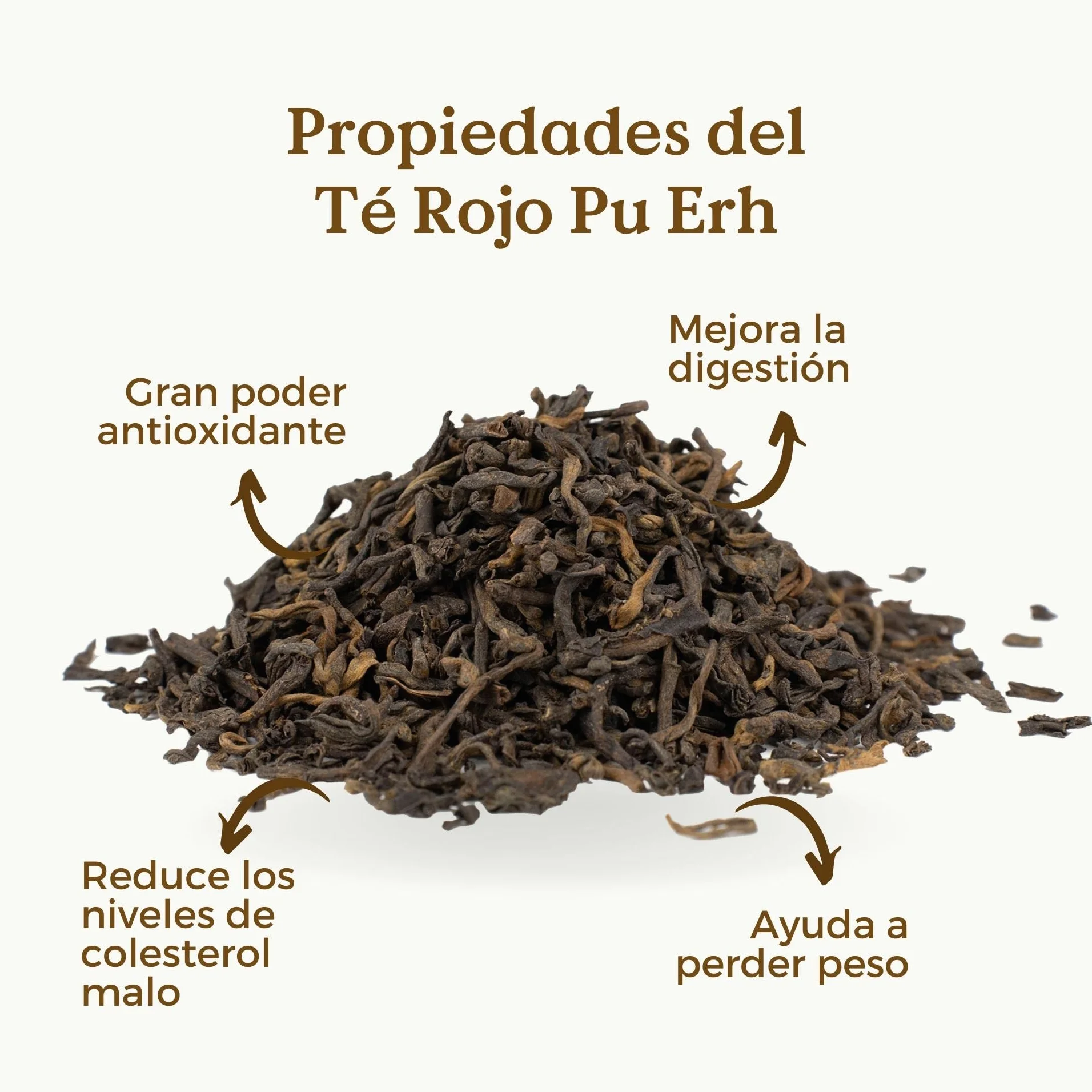 REPLANTEA® Té Pu Erh Orgánico 100g 50 Tazas Diurético Digestivo Detox