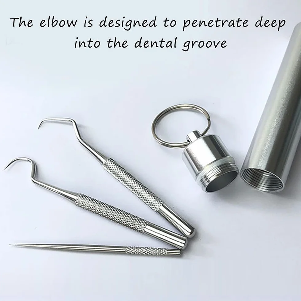 Kit de Palillos de Dientes de Acero Inoxidable Reutilizable con Soporte y Llavero Portátil