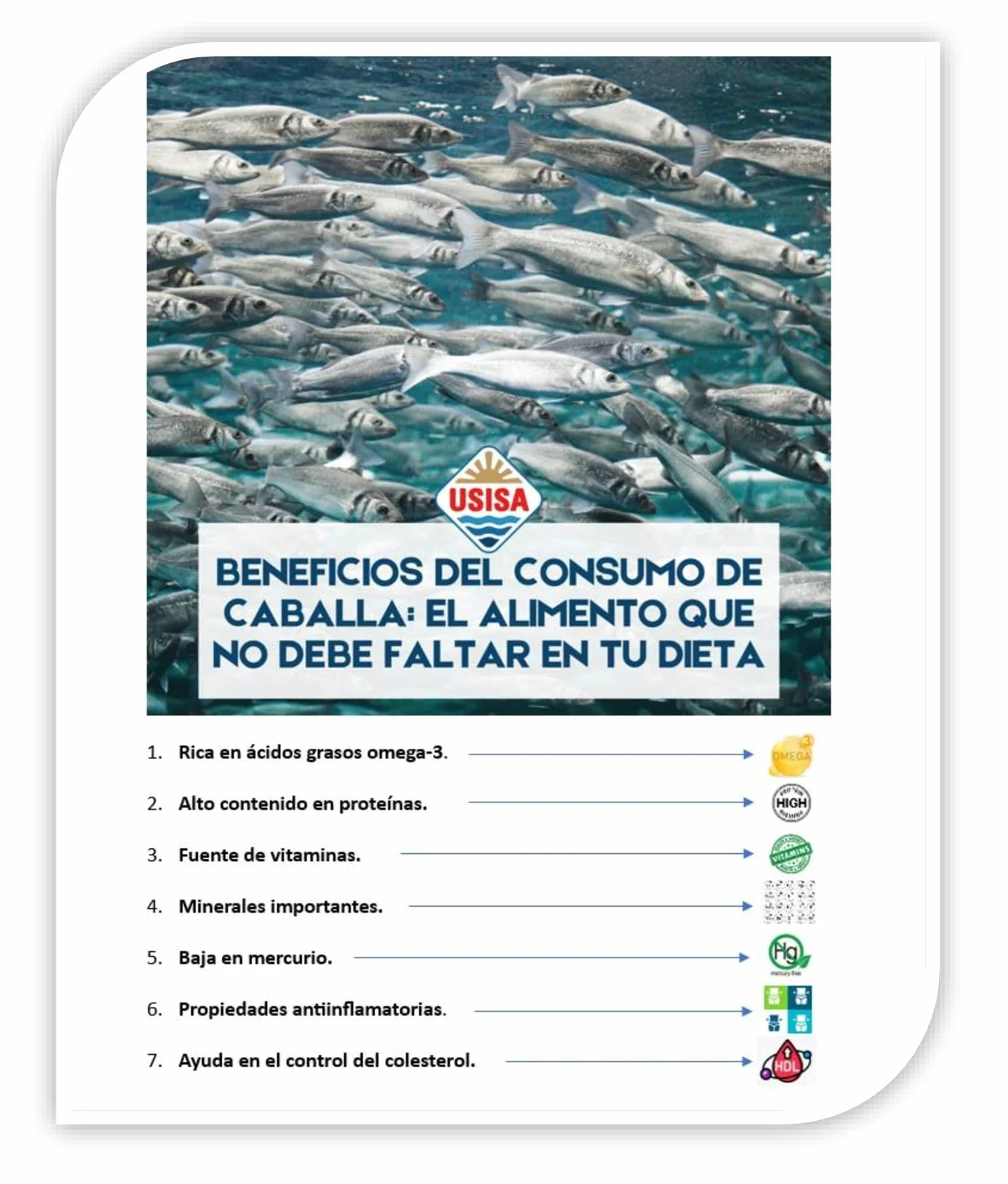 Conserva de Pescado Filetes de Caballa en Aceite de Oliva Virgen Extra Pack de 5 Latas 120g