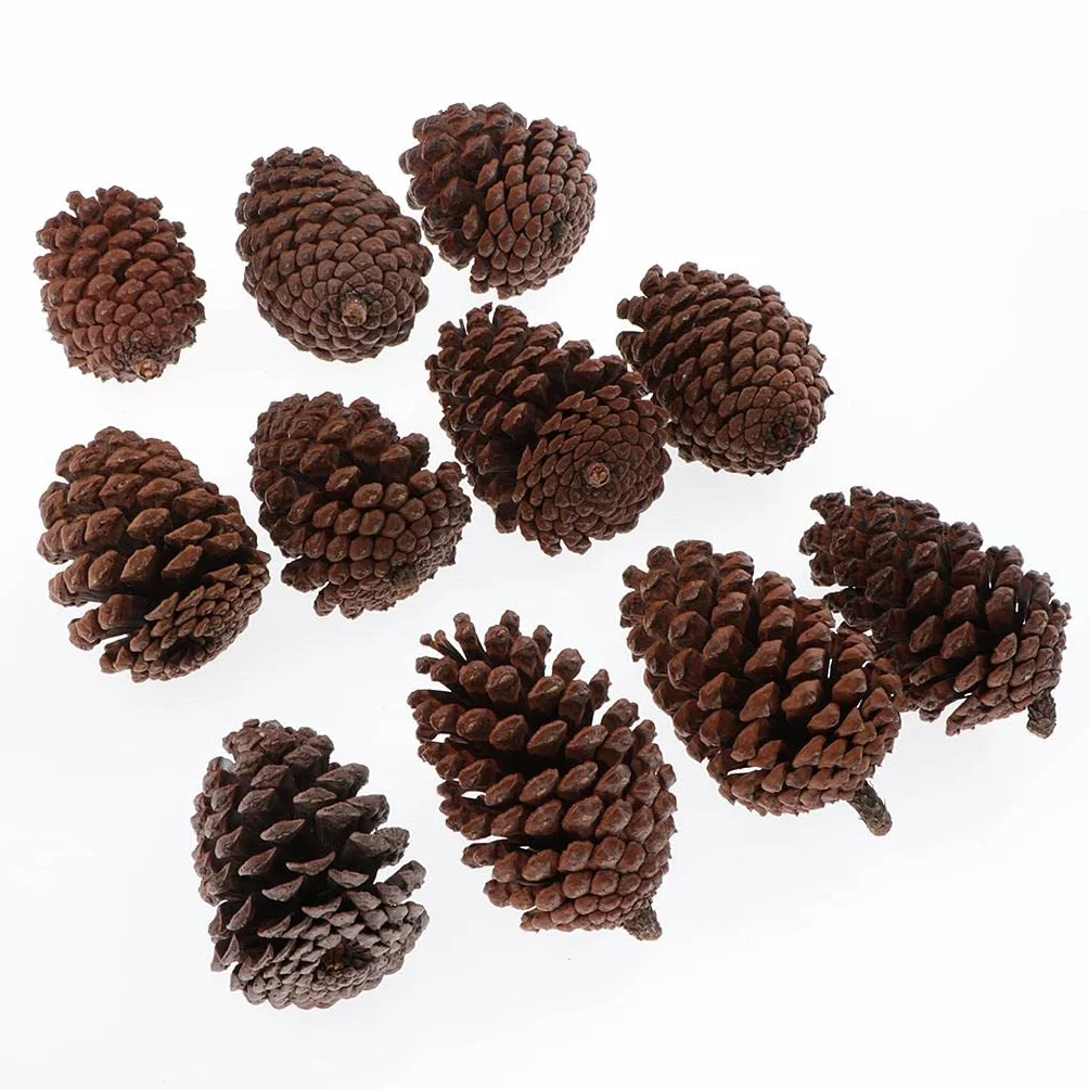 Conos de Pino Seco Natural 8-10 cm Decoración Árbol de Navidad 10 Piezas