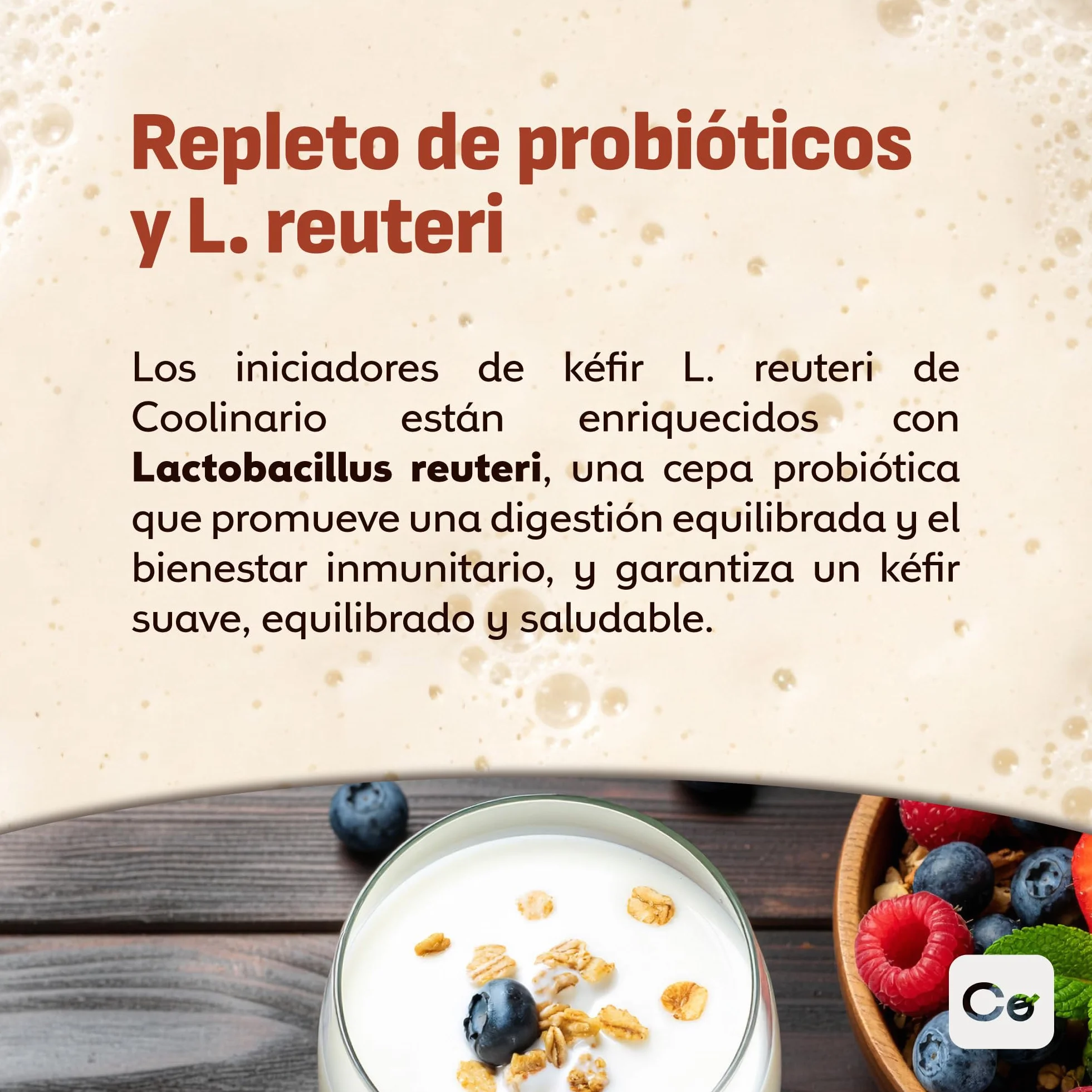 Coolinario Cultivo Iniciador de Kefir con L Reuteri 5 Sobres 1.5g Fermentos Probióticos Lactobacillus Reuteri Cremoso Ácido Sin OGM