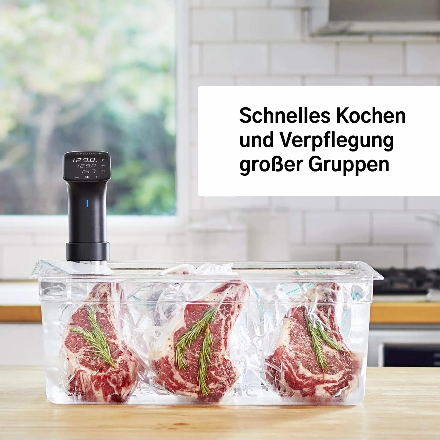 Anova Precision Cooker Pro, Cocedor Sous Vide, [AN600-EU00], WiFi, 100 Watt, enchufe tipo C incluido para uso en EU, Negro y Plata