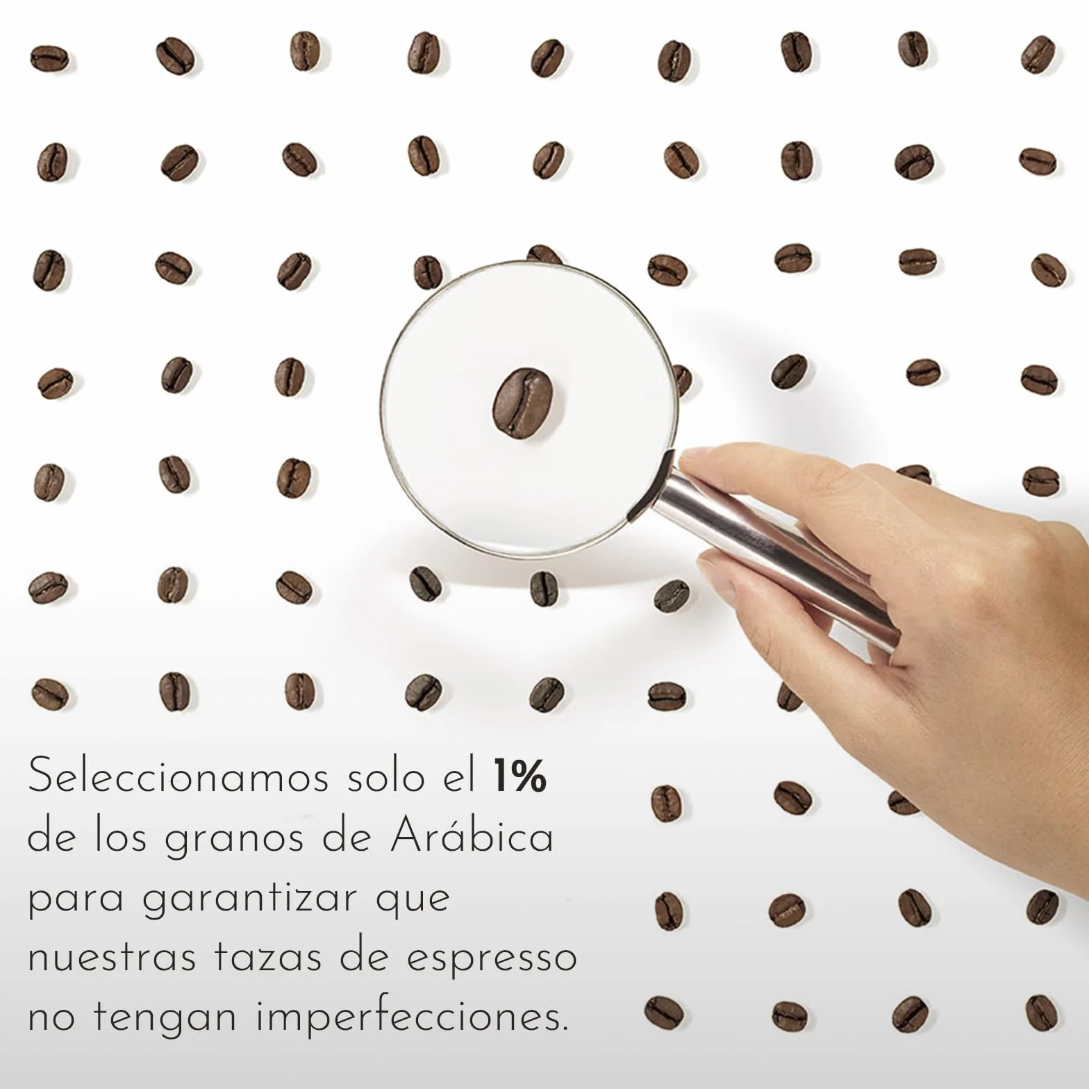 illy Café Molido Espresso CLASSICO 100% Arábica 250g