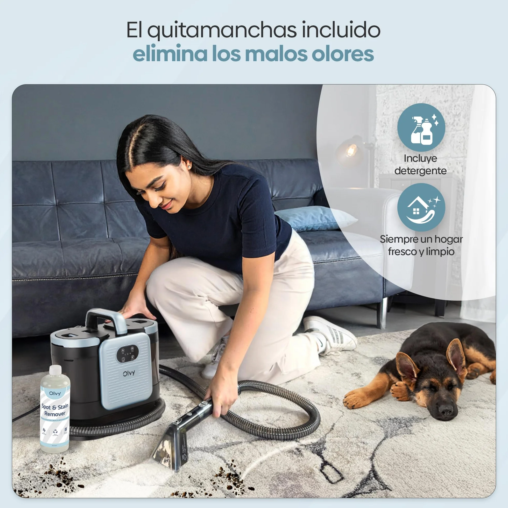 Olvy Limpiador de Alfombras PRO 1650W Aspiradora en húmedo con función de vapor 100°C