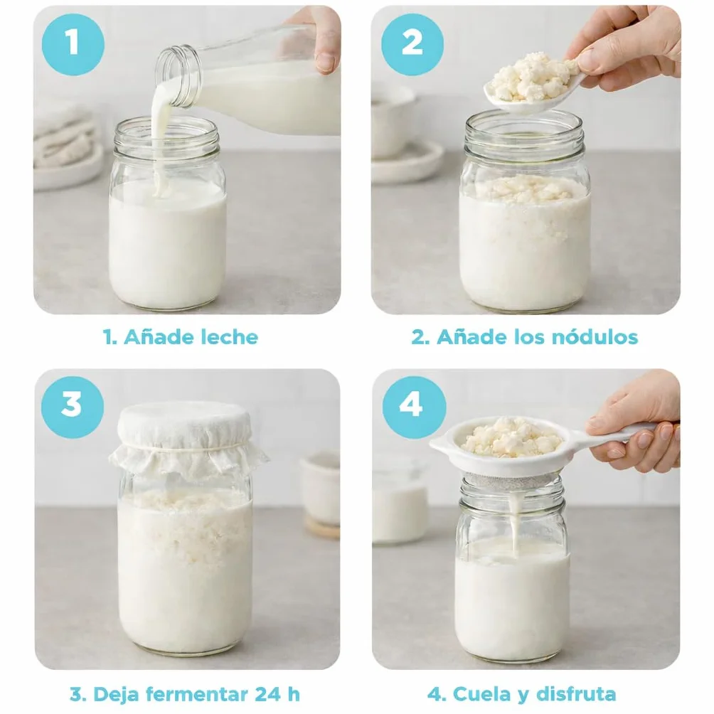 OH MY KÉFIR® Nódulos Vivos de Kéfir de Leche 10g – Cultivo Casero Probiótico Natural con Instrucciones y Recetario