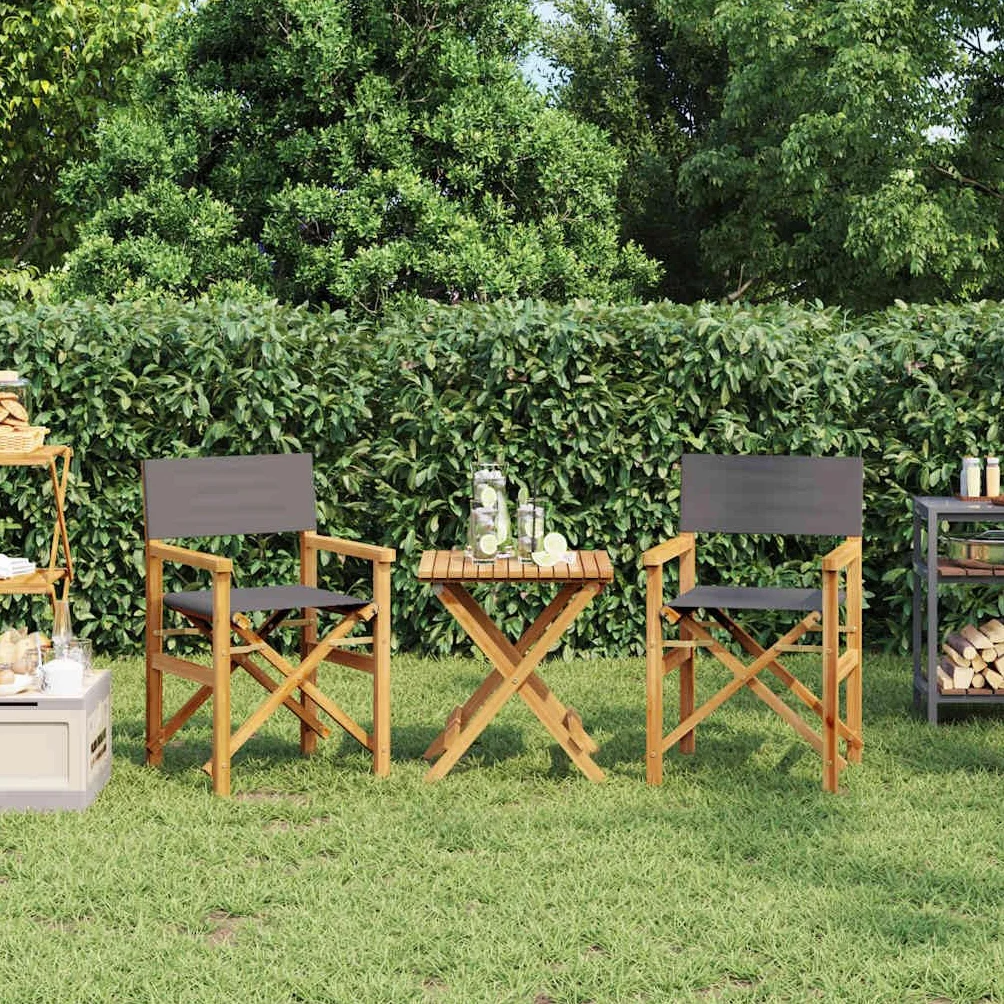 Gecheer Sillas Director Madera, sillas Plegables Exterior. Robustas y Ligeras, con Asiento cómodo y reposabrazos jardín, balcón o Camping. Estructura de Roble Resistente, fácil almacenaje.