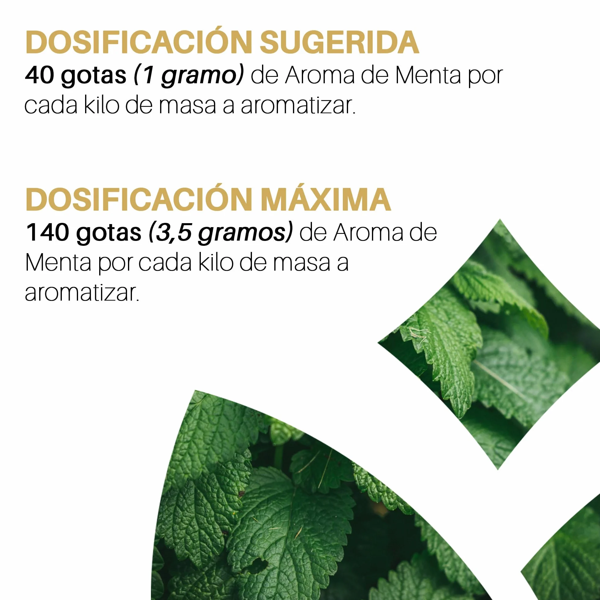 LUIZ AROMAS Aroma Menta Aroma Alimentario en Gotas 100g Vegano sin Azúcar