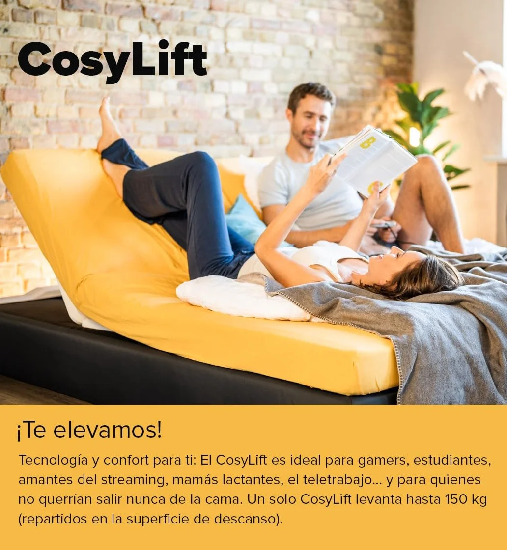 COSYLIFT Somier de láminas Add-On - Elevador eléctrico para somieres de láminas y colchones, Apto para Todo Tipo de Camas y Camas Box Spring - con Motor y Mando Manual