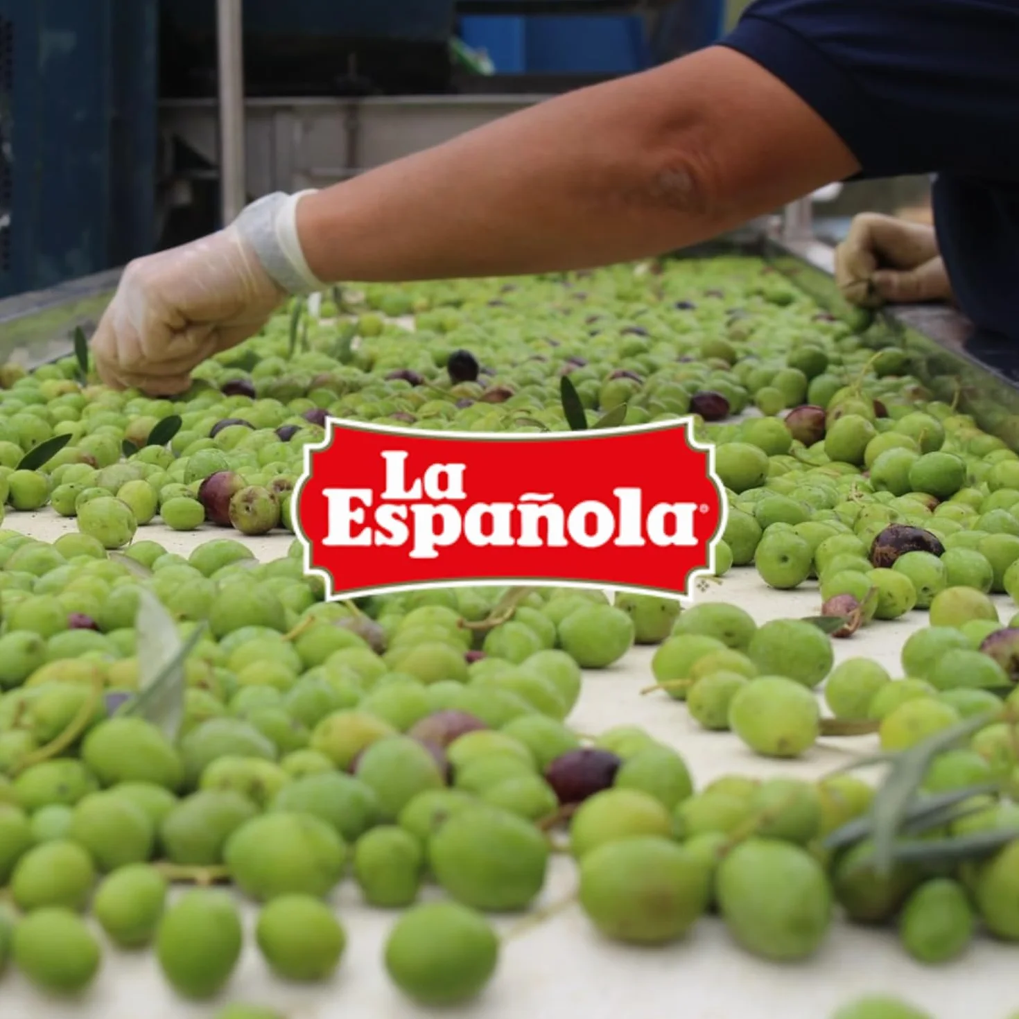 LA ESPAÑOLA Aceite de Oliva Virgen Extra Garrafa 5L AOVE Sabor Equilibrado