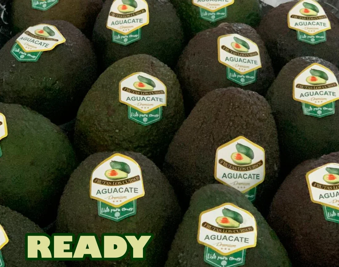 Aguacate Hass Pack 2 kg - Frescos Seleccionados para Guacamole