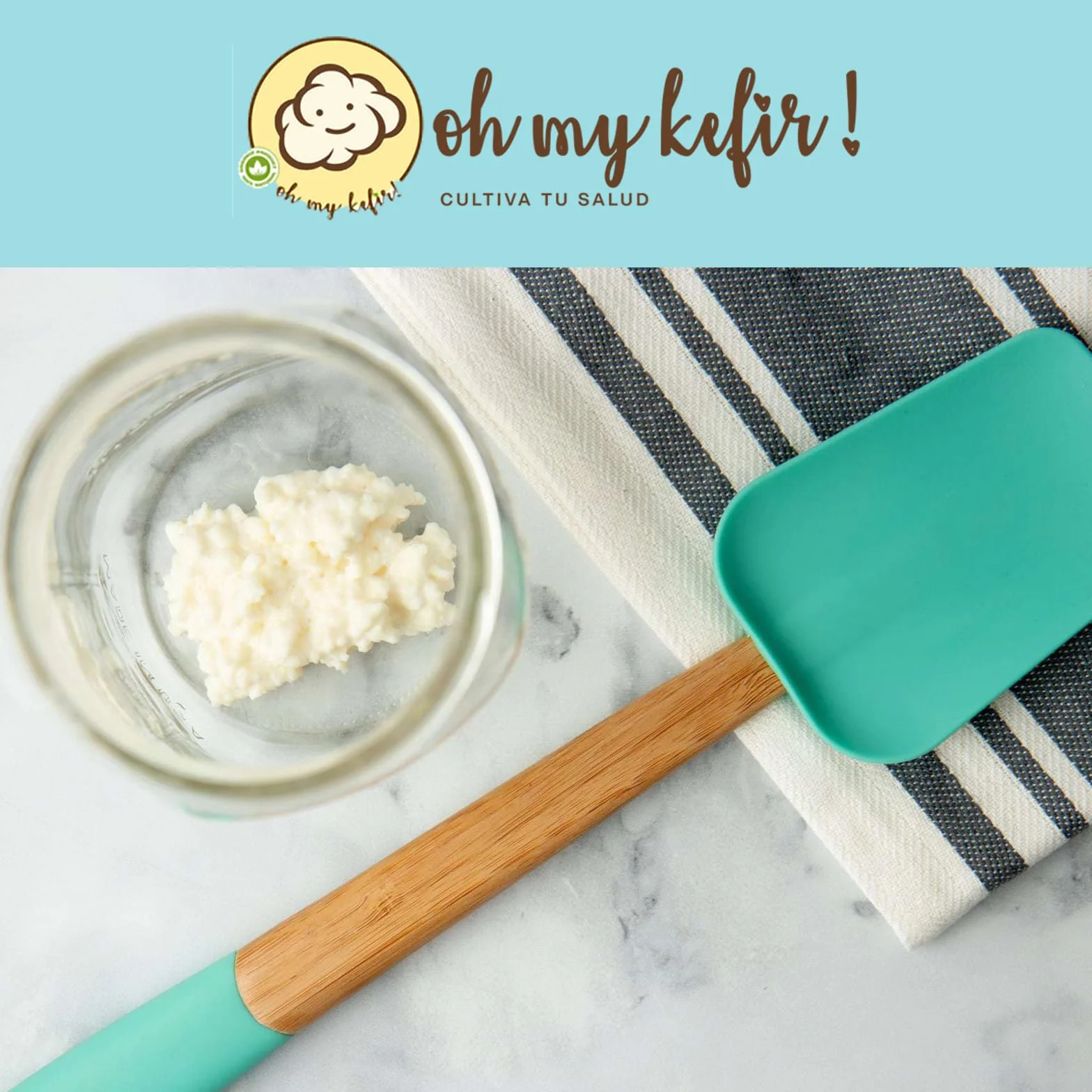 OH MY KÉFIR® Nódulos Vivos de Kéfir de Leche 10g – Cultivo Casero Probiótico Natural con Instrucciones y Recetario