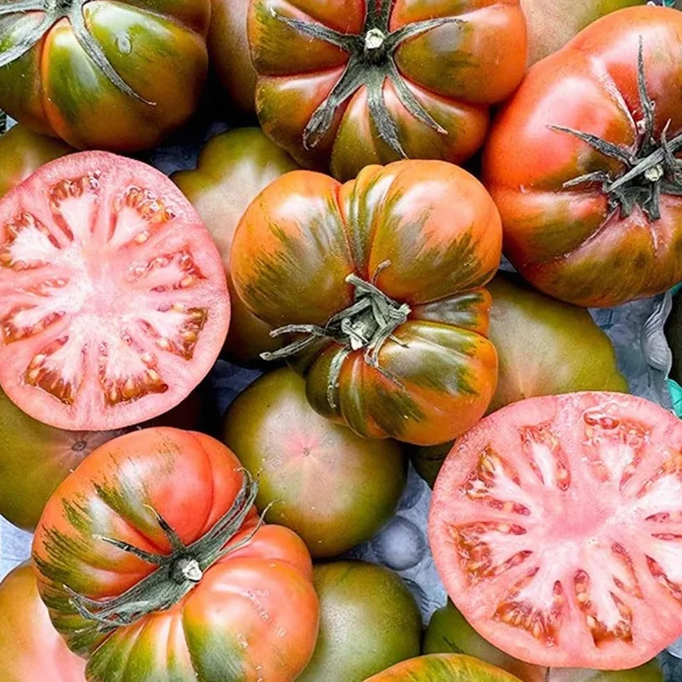 Tomate Raf 4 Kg frescos de temporada cultivados en España