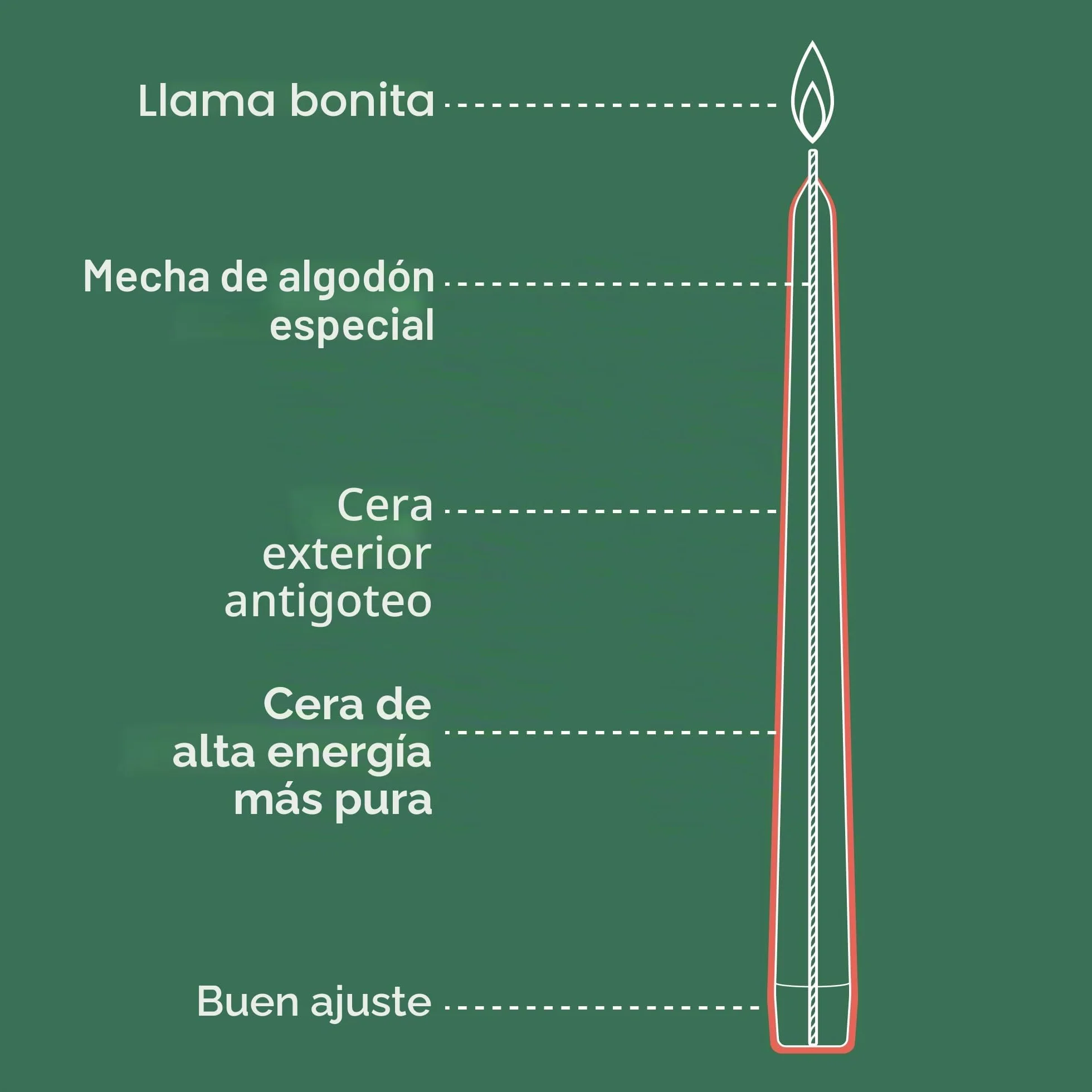 Bolsius Velas cónicas Blanco 8 unidades decorativas hogar combustión 7 horas sin perfume 50% cera vegana natural
