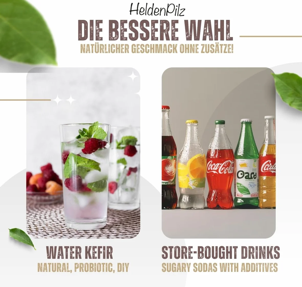 HeldenPilz® Kit inicial para kéfir de agua orgánico – Cristales de kéfir de agua ecológicos 10 g deshidratados