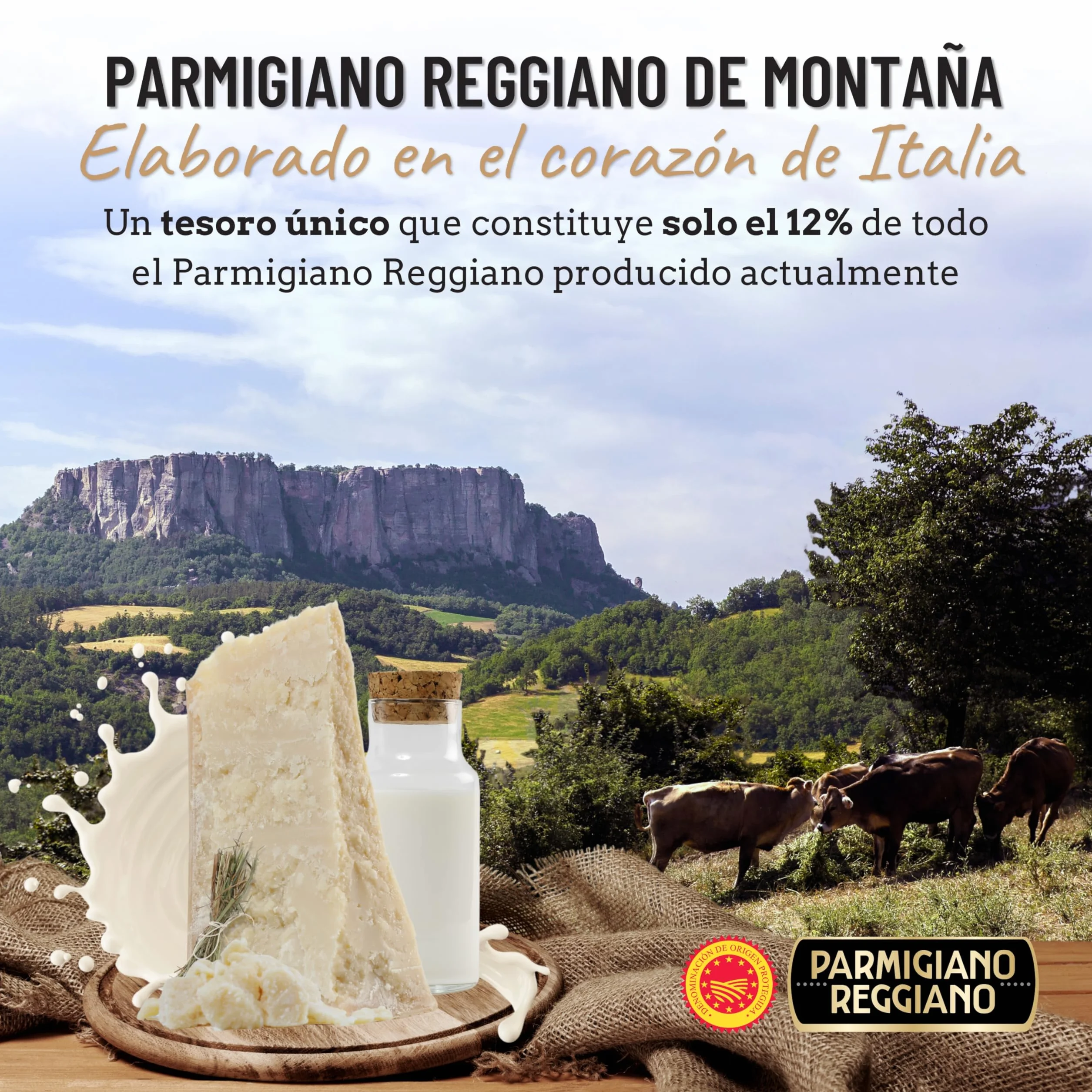 Parmigiano Reggiano 48 Meses de Maduración 1 kg