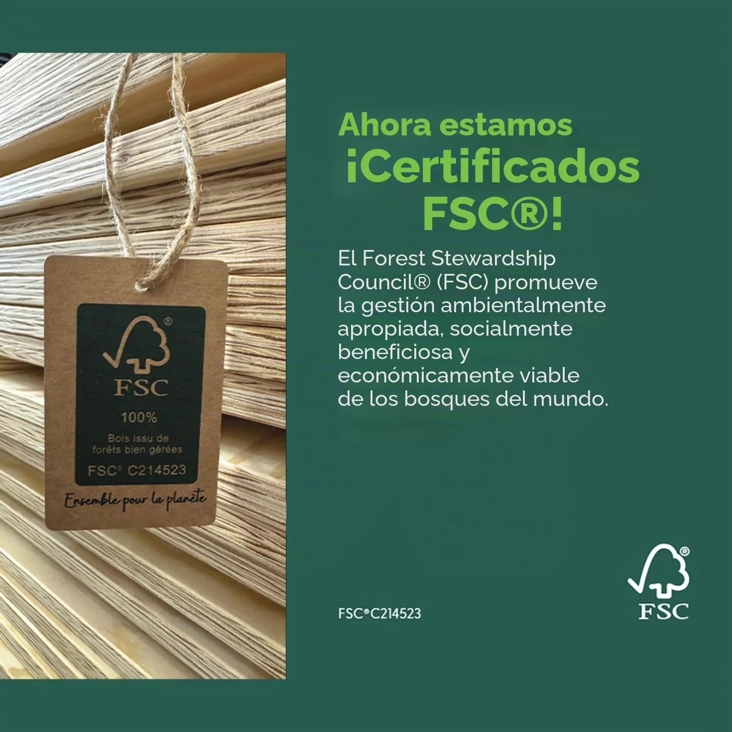 smartwood Cama Montessori 90x190 cm Madera - Cama Infantil de Madera con Certificado FSC, con Barrera Anticaídas y Somier Flexible para 230 kg - para Niño y Niña - Montaje Sencillo - TILA 6