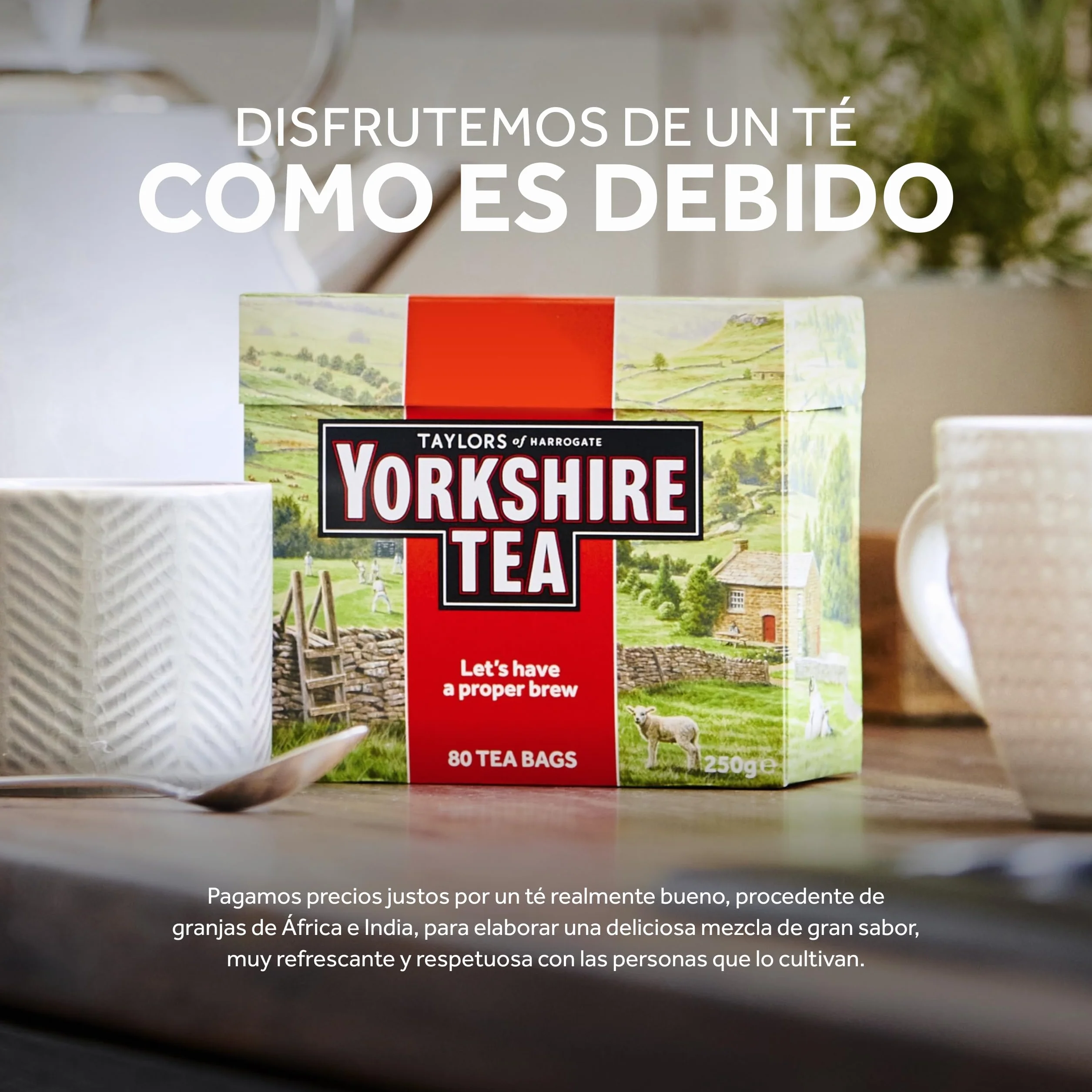 Yorkshire Tea Té Negro Intenso 240 Bolsitas