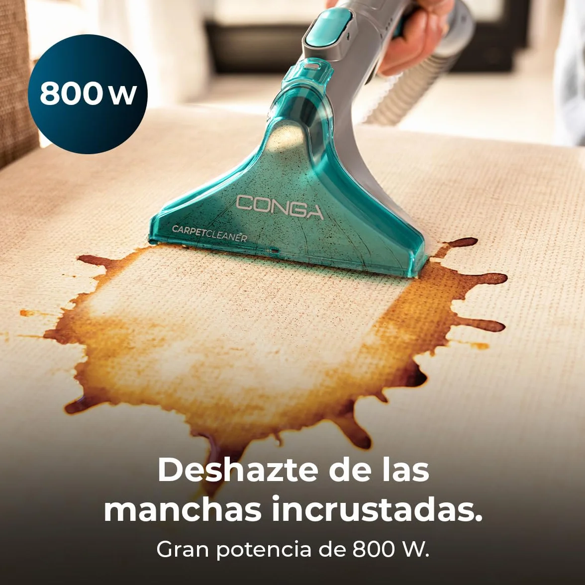 Cecotec Limpiador Aspirador de Tapicerías y Alfombras, Aspiradora de Trineo Conga CarpetClean 10000 EasyHome. 800W, Depósito de Agua Limpia 3L y Agua Sucia 1,5L, Multisuperficie, Kit Accesorios
