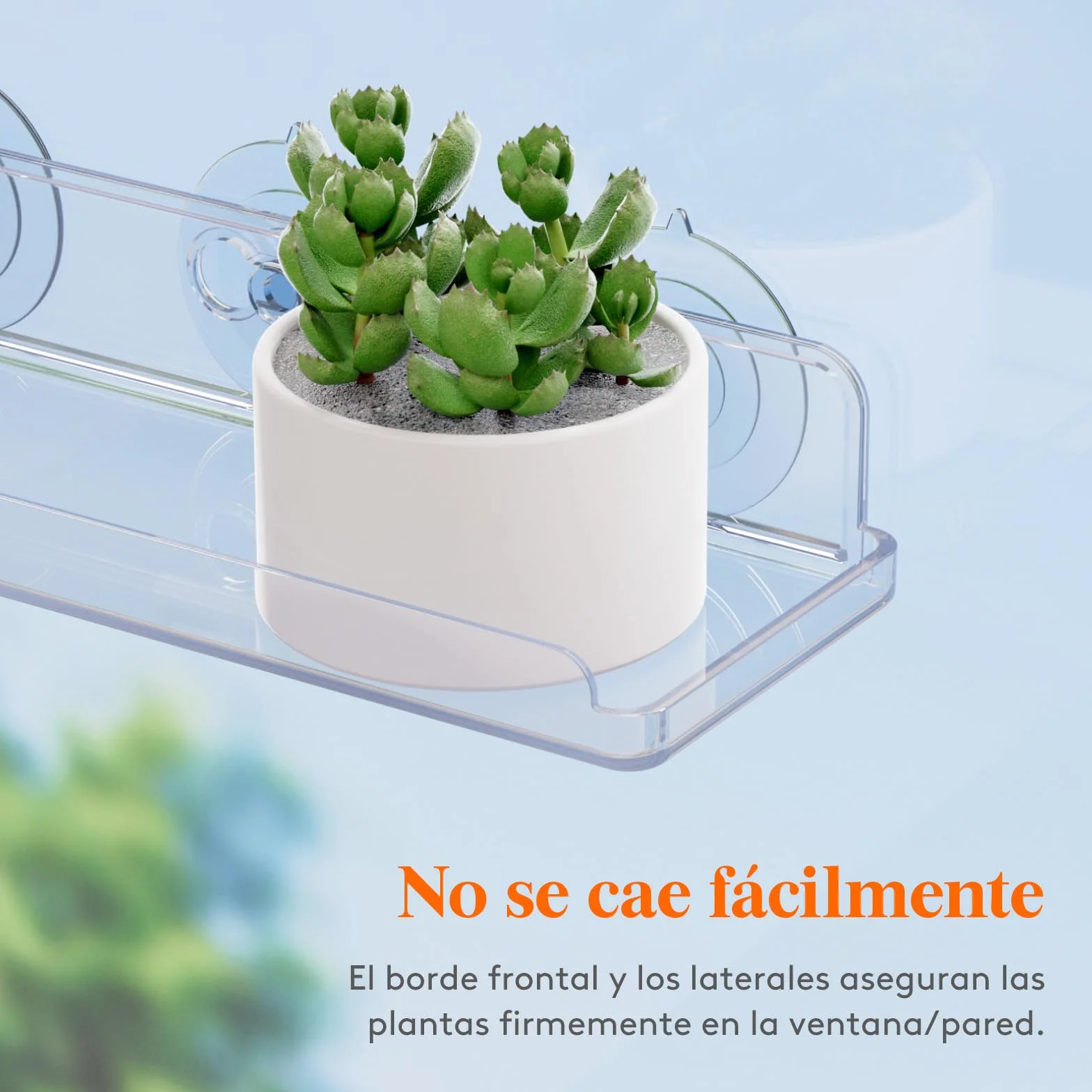 Lifewit Estanterias Plantas para Ventana, 3 Pack 38cm Baldas flotantes para Plantas Suculentas Interiores y Verduras en Miniatura, Repisas con Estante de Ventosas Acrílicas para Baño/Habitacion