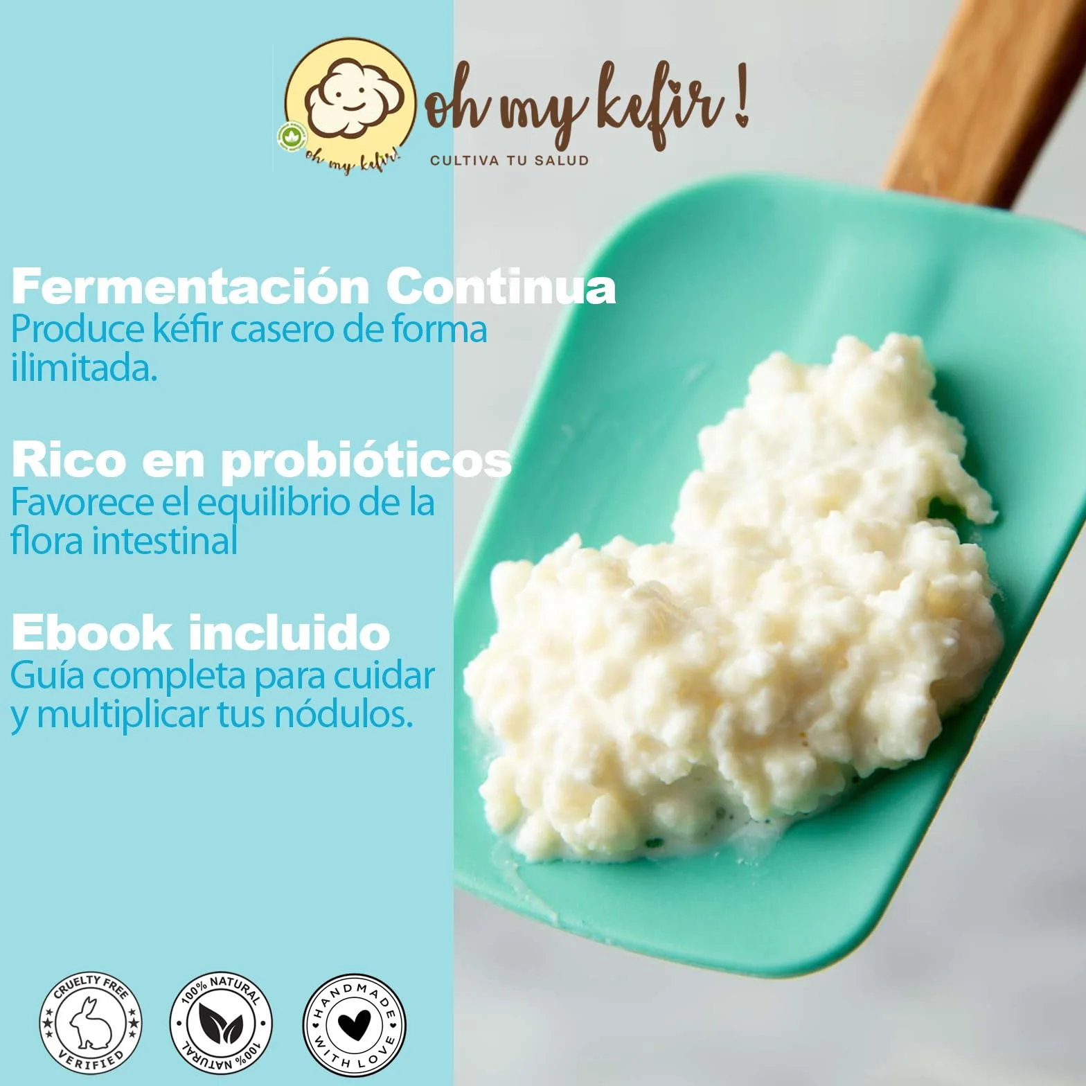 OH MY KÉFIR® Nódulos Vivos de Kéfir de Leche 10g – Cultivo Casero Probiótico Natural con Instrucciones y Recetario