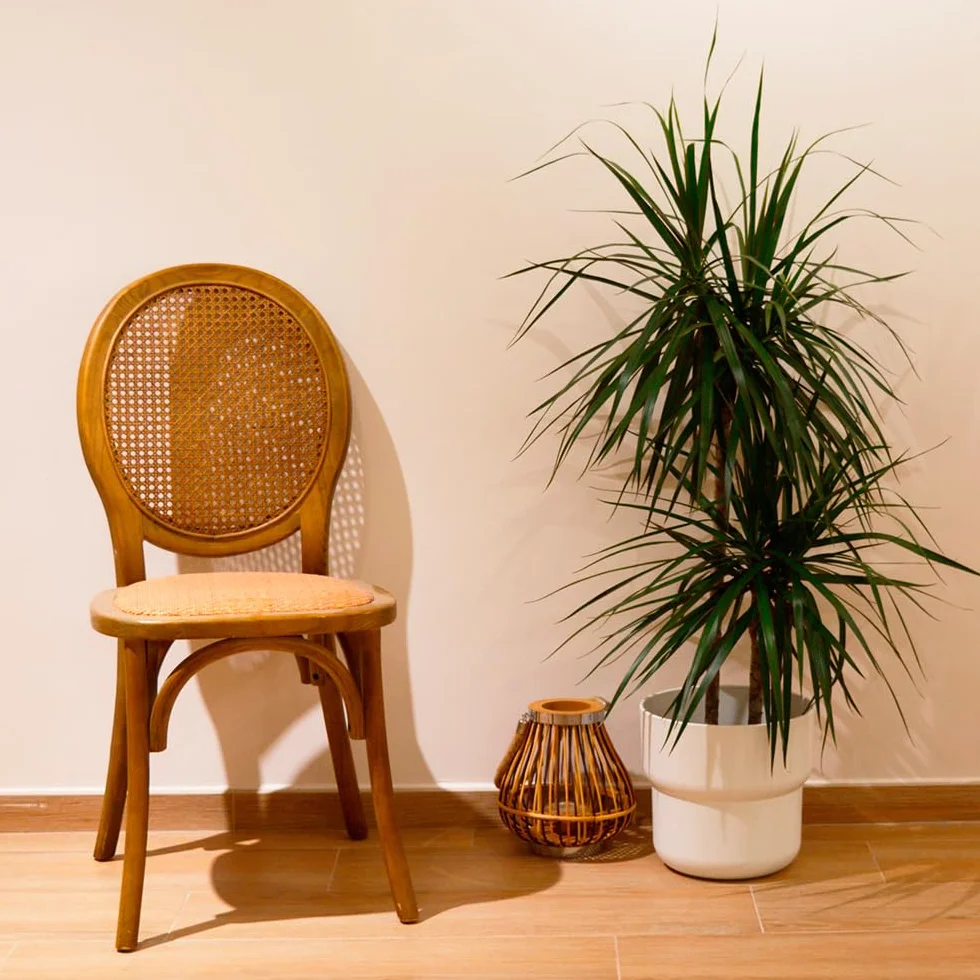 EME Silla Medallón Madera Oscura de Olmo con Asiento de ratán Natural y Respaldo de Rejilla. Incluye 1 Unidad. Silla apilable, con Acabado rústico.