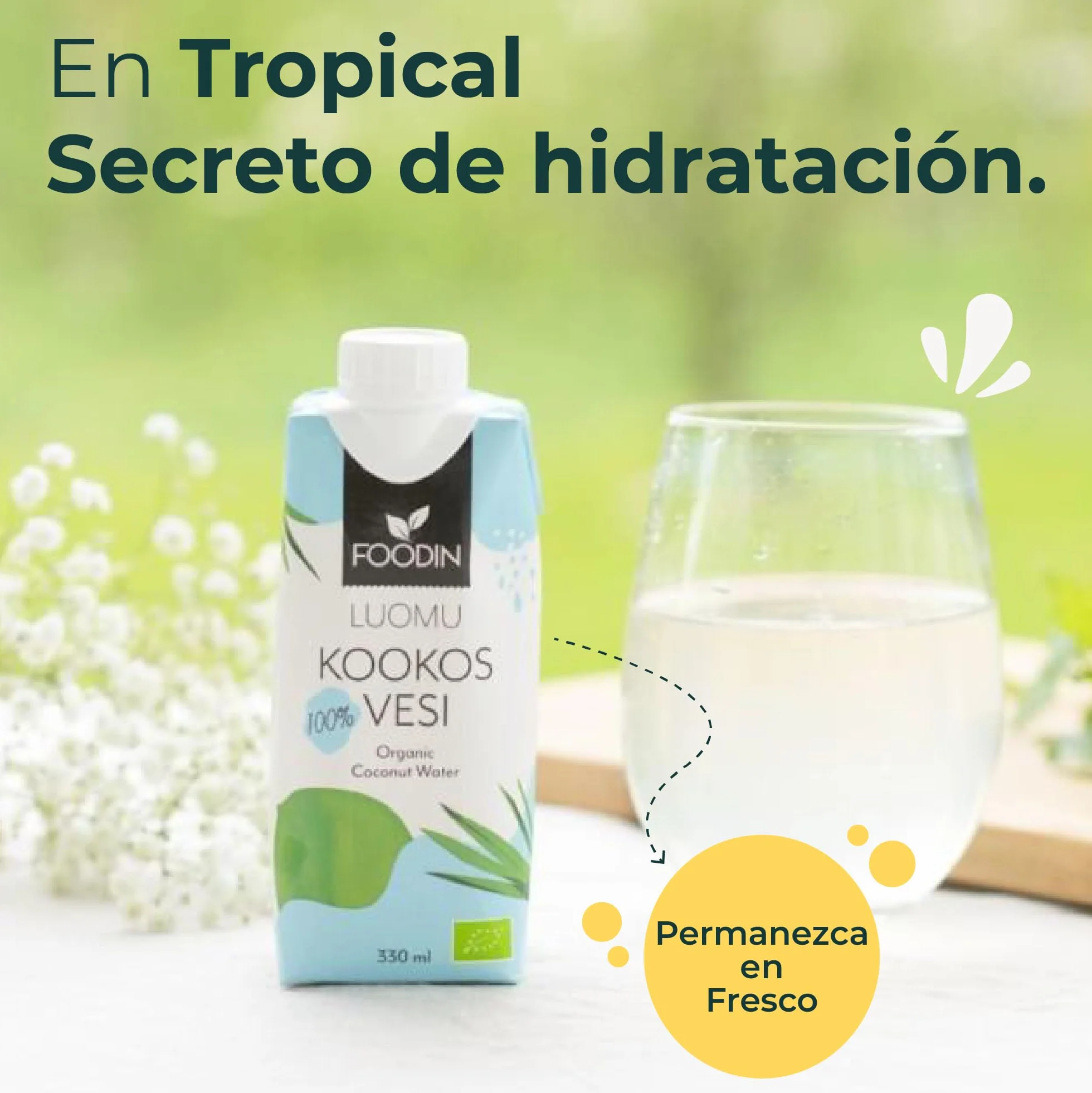Foodin Agua de Coco Orgánica con Electrolitos, Sin Gluten, Sin OGM, Paquete de 12 (12x330ml)