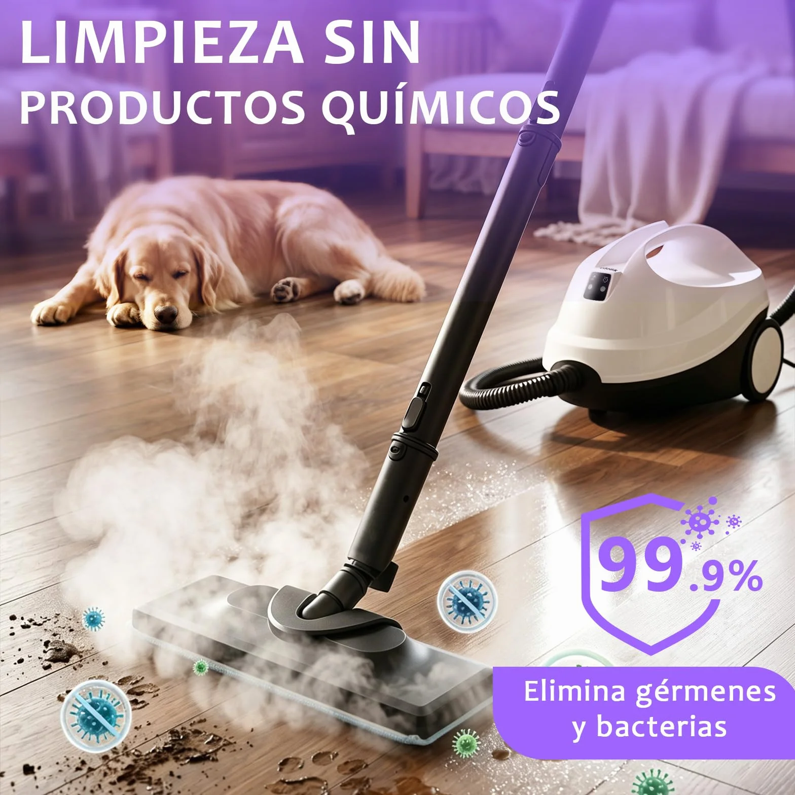 Limpiador de Vapor Portátil 120°C 20 Accesorios para Suelos Sofás Ventanas Cocina