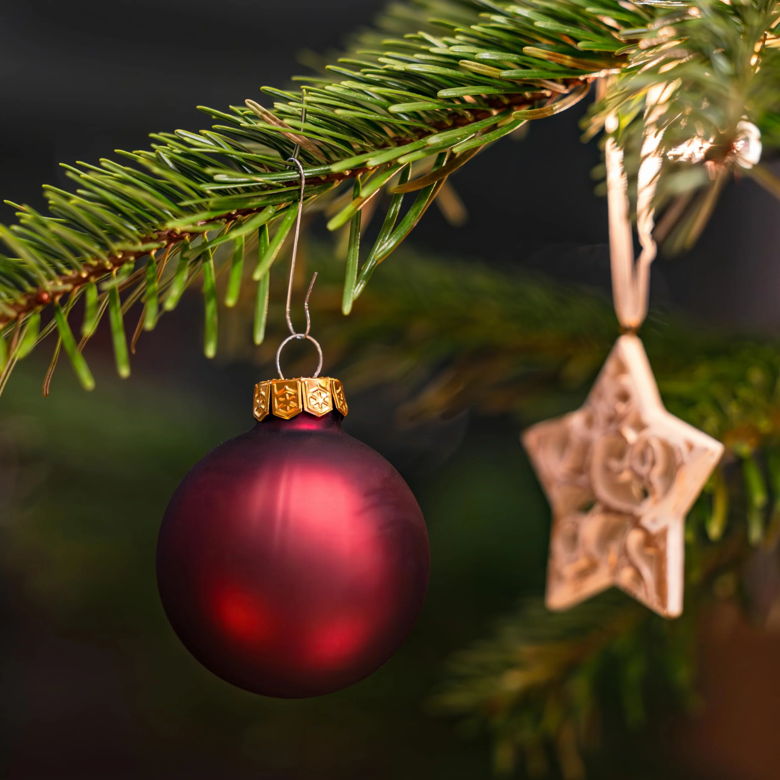 Nordstern Adornos de árbol de Navidad colgadores de montaje rápido, paquete de 150 - Ganchos dobles 3,3 cm