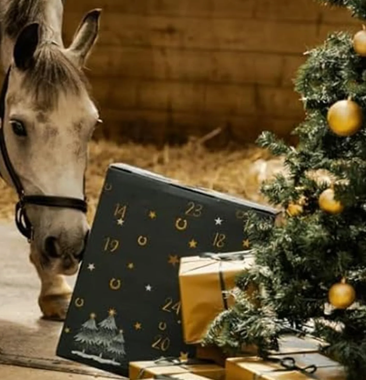 Calendario de Adviento 2025 con diseño de cielo invernal y caballos 24 días de regalos para dueños de caballos