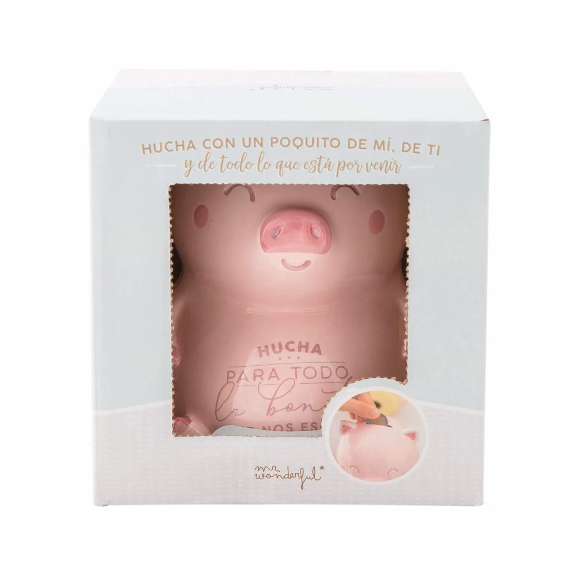Mr. Wonderful Hucha Cerdito Rosa WOA10323ES