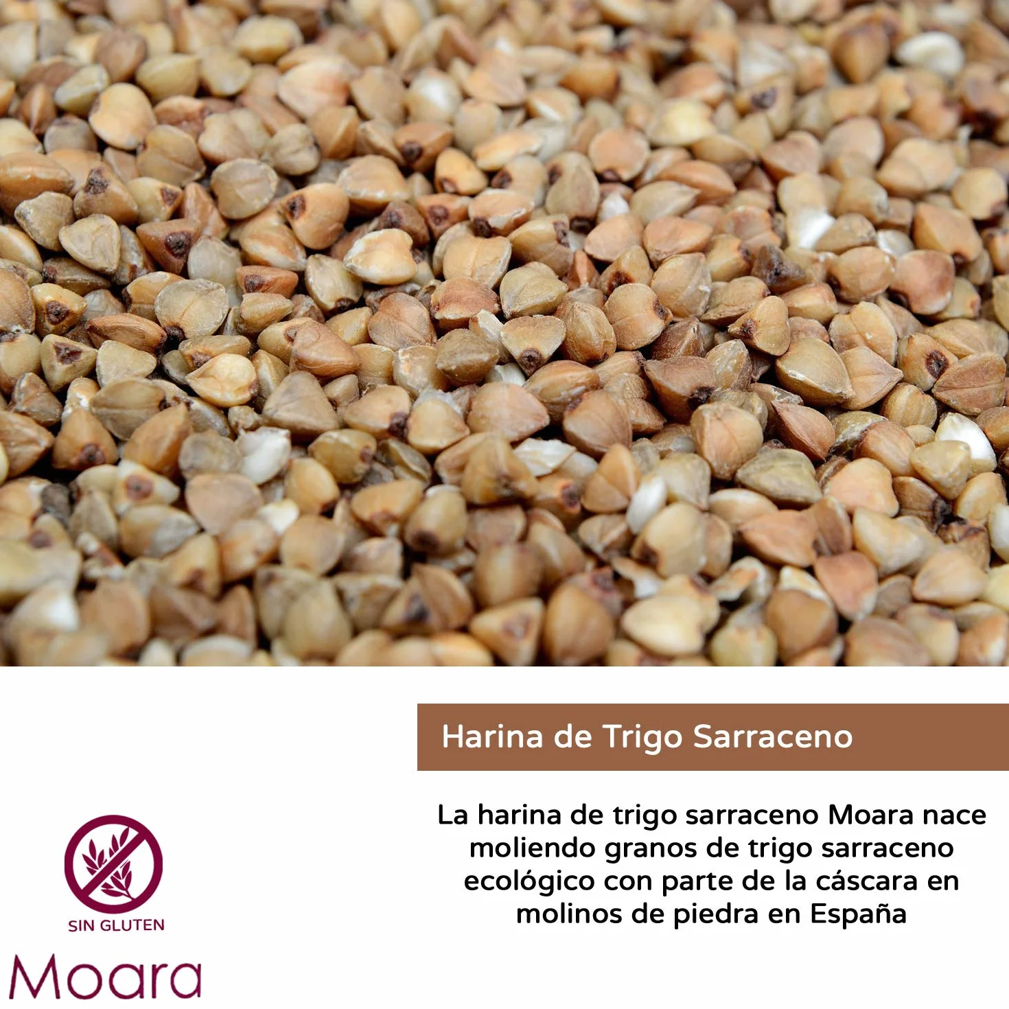 Harina de trigo sarraceno ecológica sin gluten - Harina sarracena BIO
