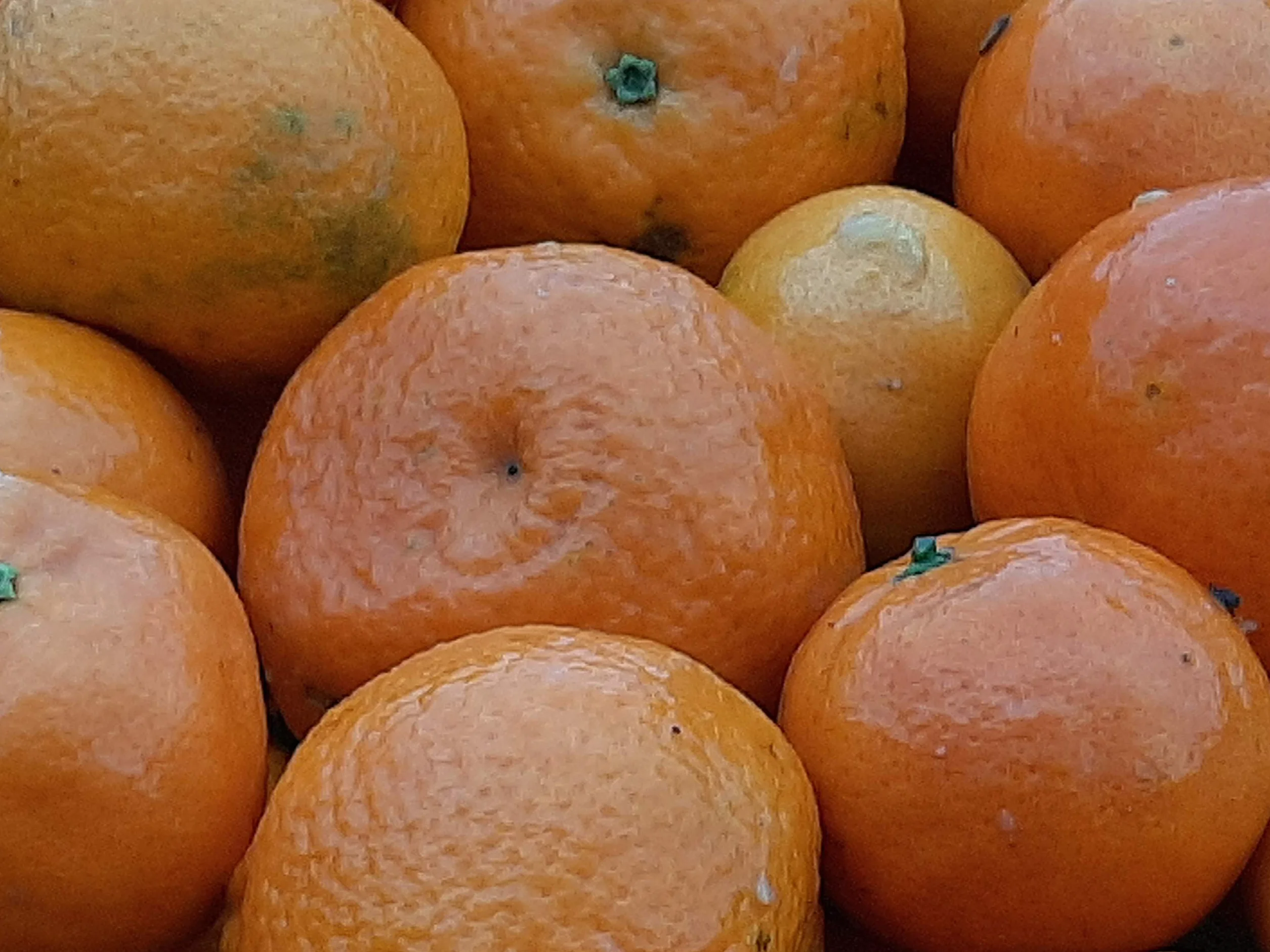Ekolo Zumo de Mandarina Ecológico 100% Exprimido 6 x 750 ml