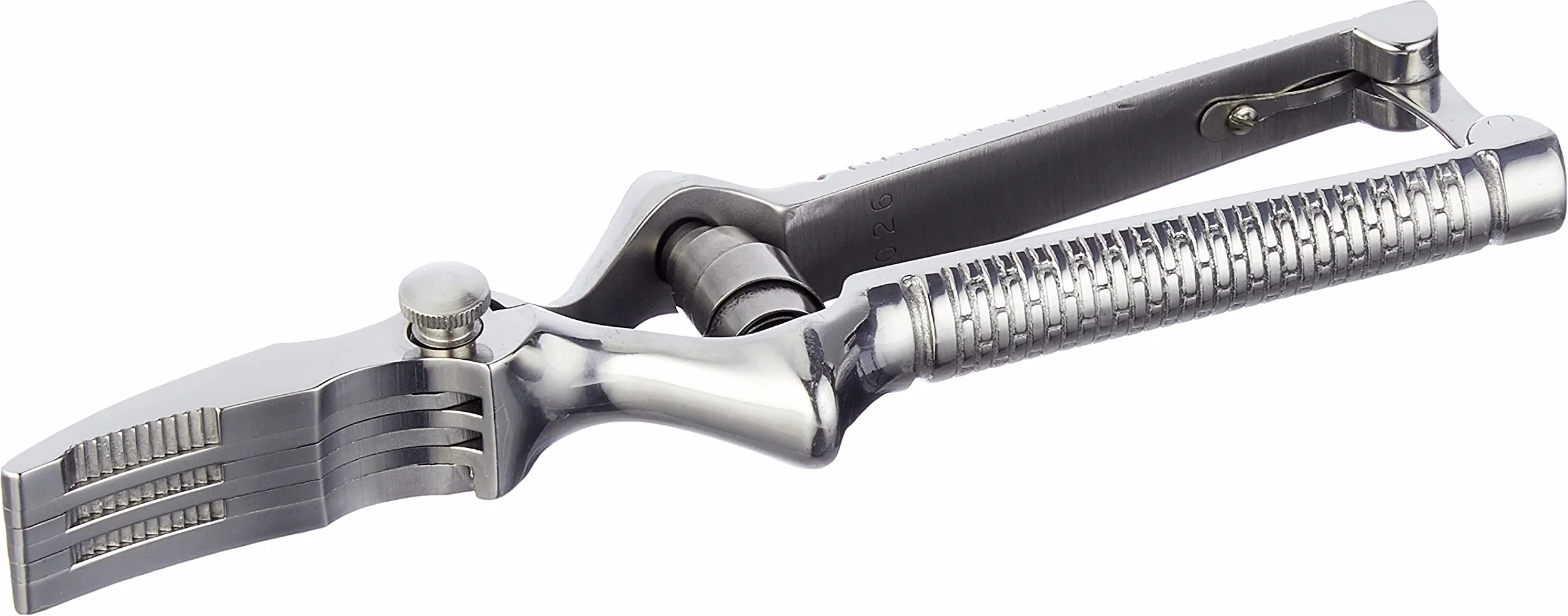 Waldmann Masticador de Carne Acero Inoxidable