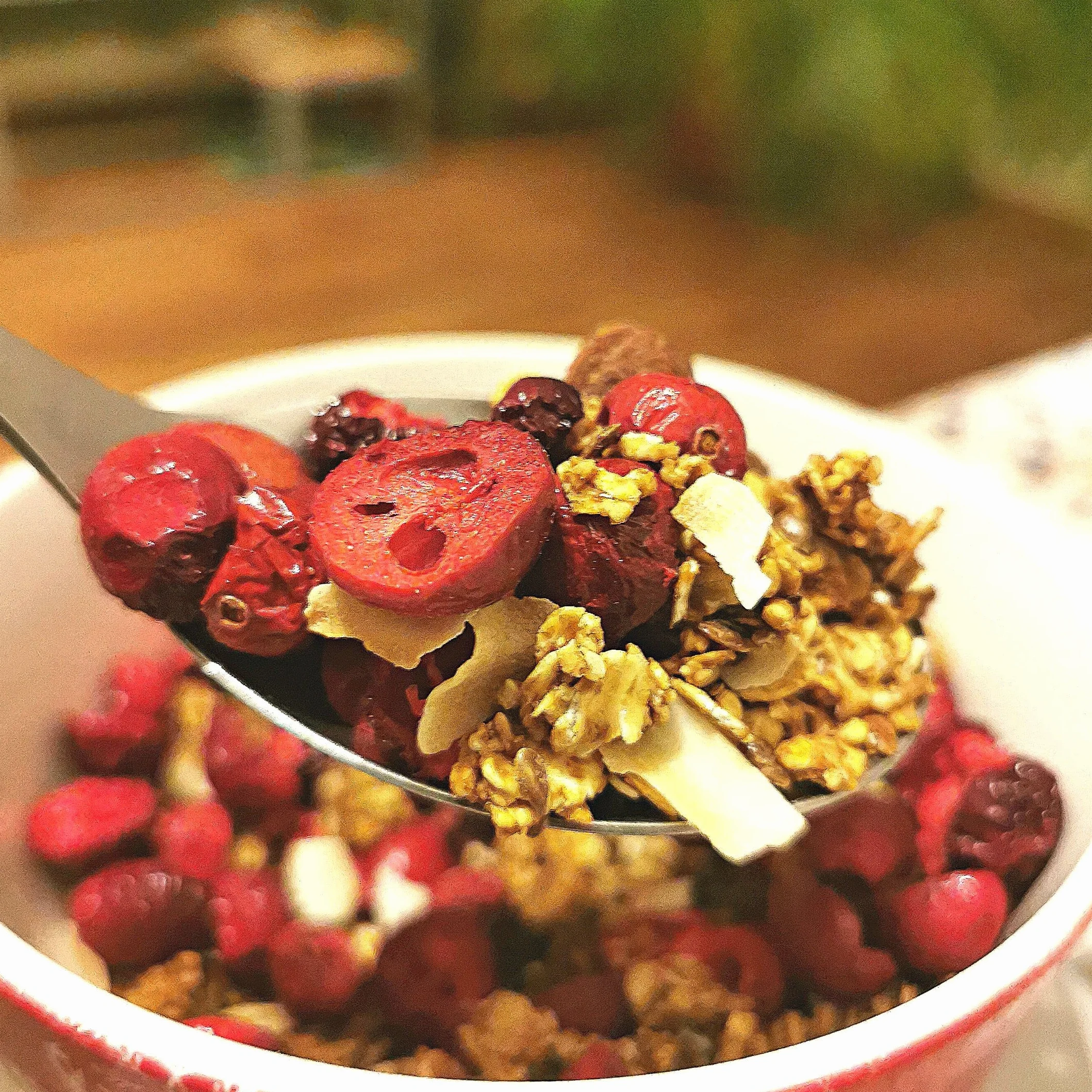 Arandano Rojo Liofilizado 100% Natural Frutas Deshidratadas Cranberry Freeze Dried Fruit ZingyZoo