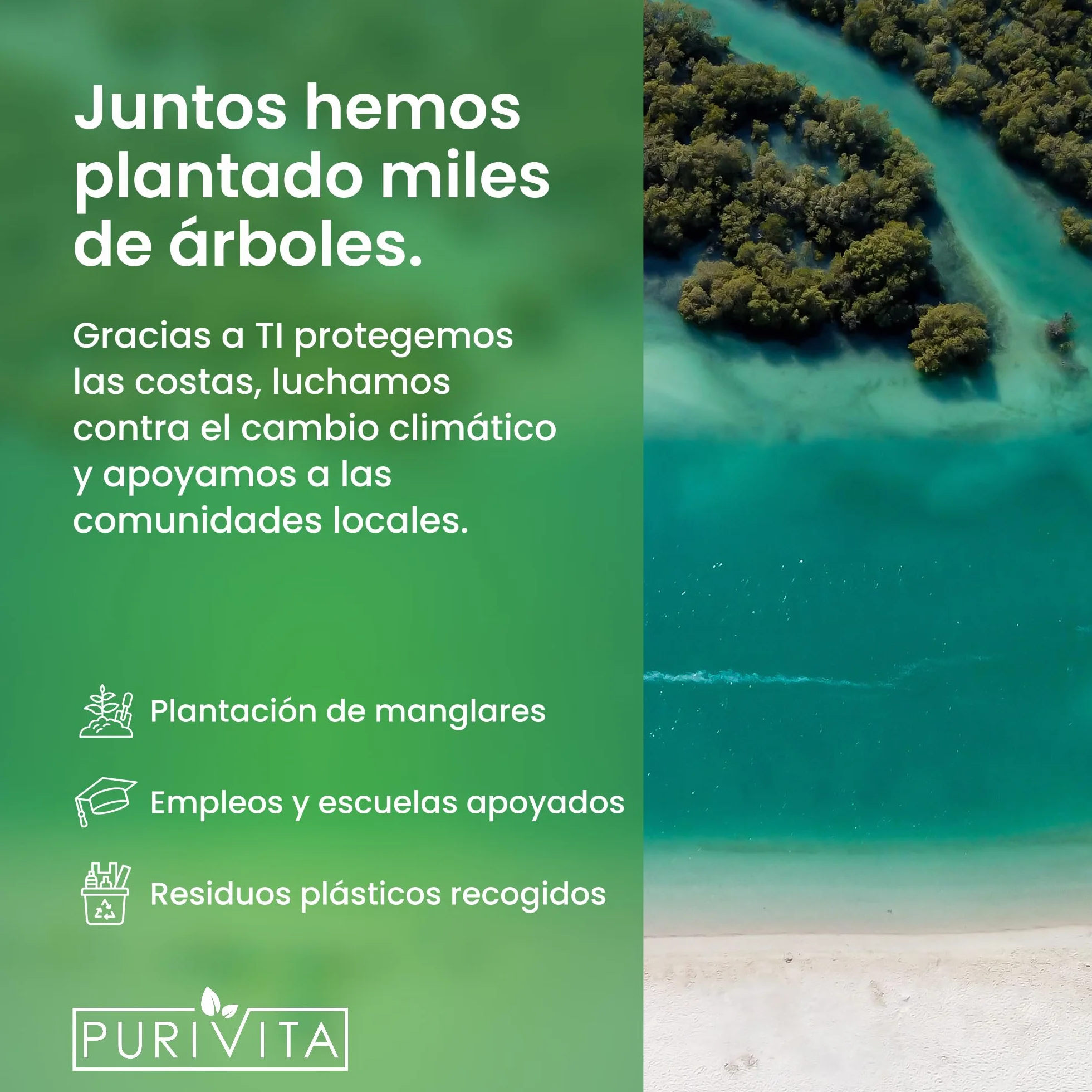 PURIVITA® Universal Descalcificador Máquinas de Café 500 ml Anticalcário Limpa Cafeteiras