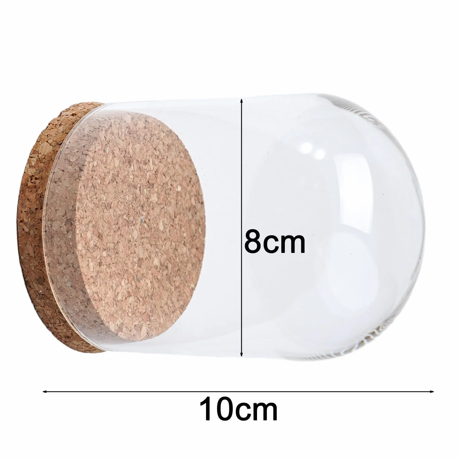 Gdfnmogo Cubierta de cúpula de cristal para plantas suculentas y flores, cristal transparente hecho a mano con base de corcho de madera natural, decoración de mesa para sala de estar, dormitorio