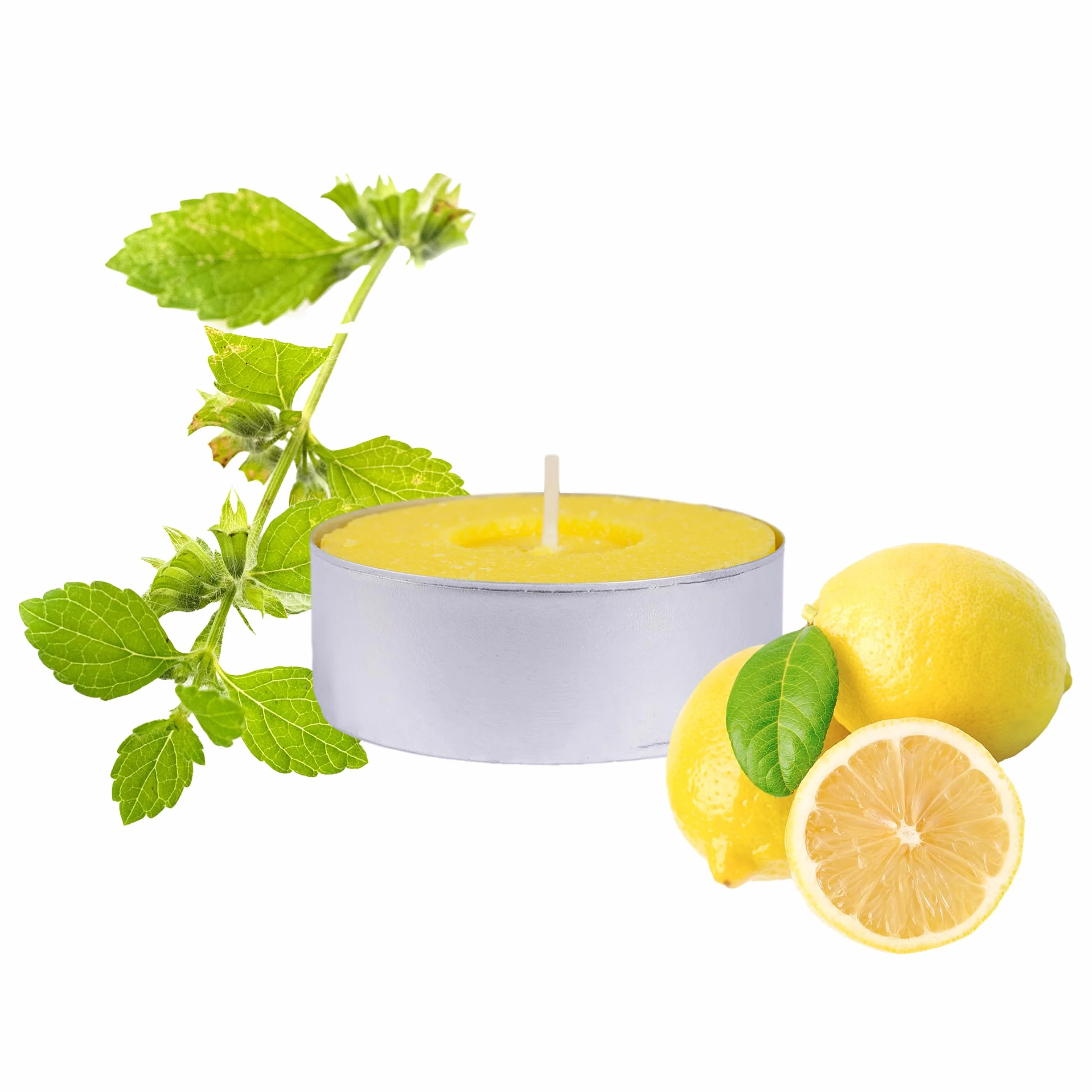 H HANSEL HOME Velas de Té Citronela Antimosquitos Pack 30 Tealights 4 Horas
