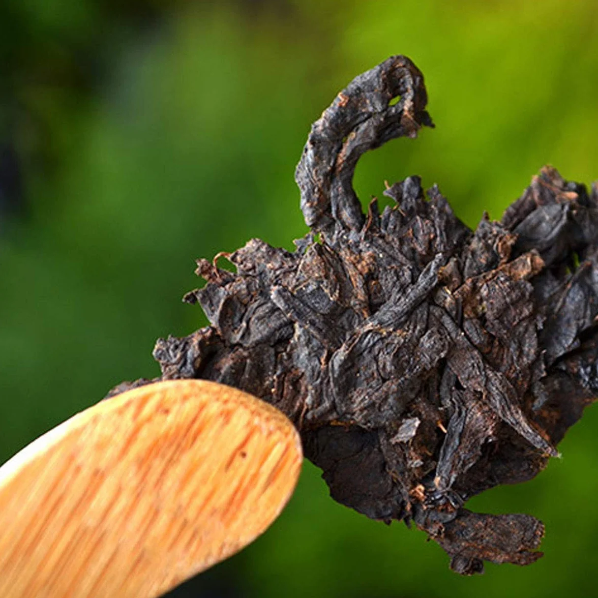 Té Pu-erh Maduro 357g Pastel de Té Puer Orgánico Menghai Yunnan