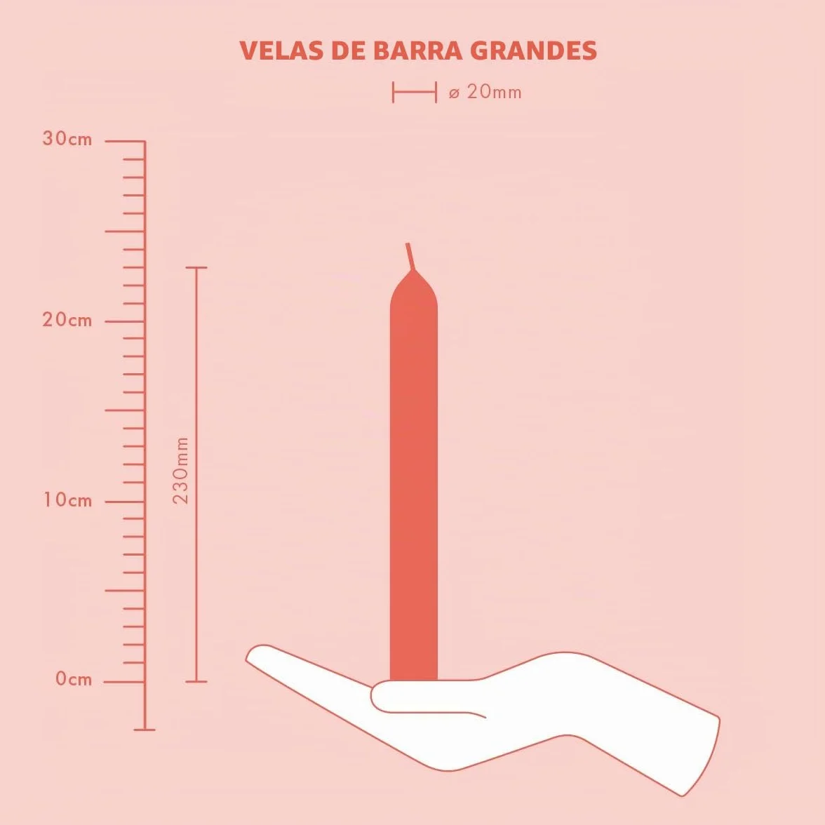 Bolsius Velas cónicas cena Marfil 23 cm 8 horas Larga duración Paquete 8