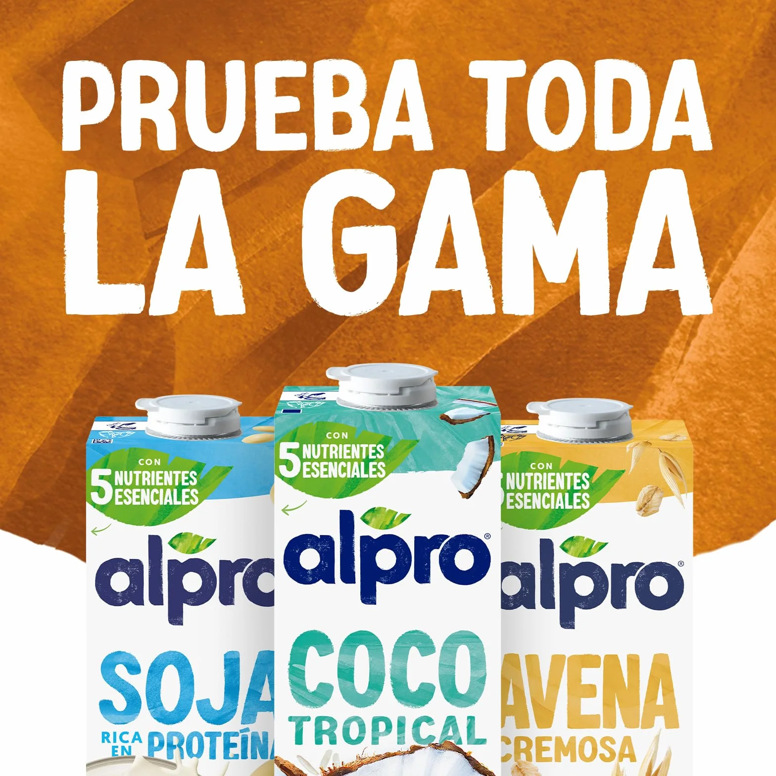 Alpro Bebida Vegetal de Almendras Pack 6 x 1L