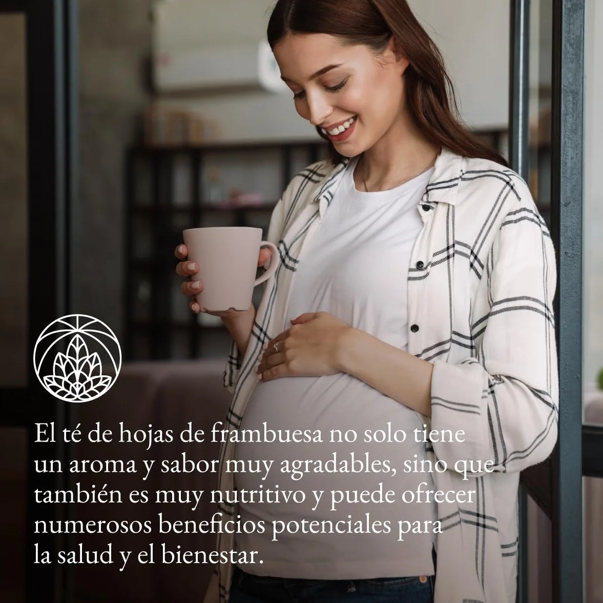 Té de hojas de frambuesa 300g Infusión Final del Embarazo