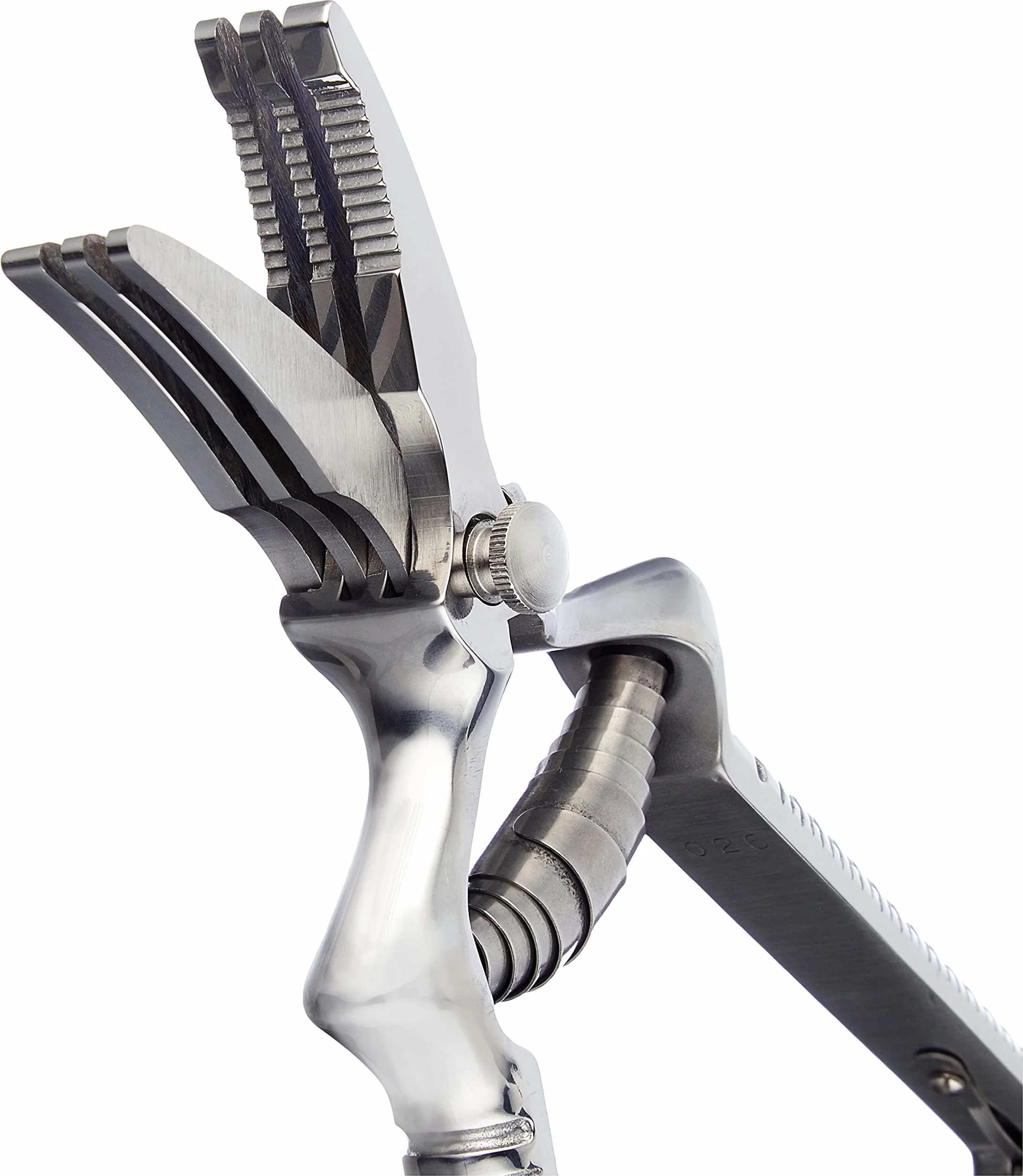 Waldmann Masticador de Carne Acero Inoxidable