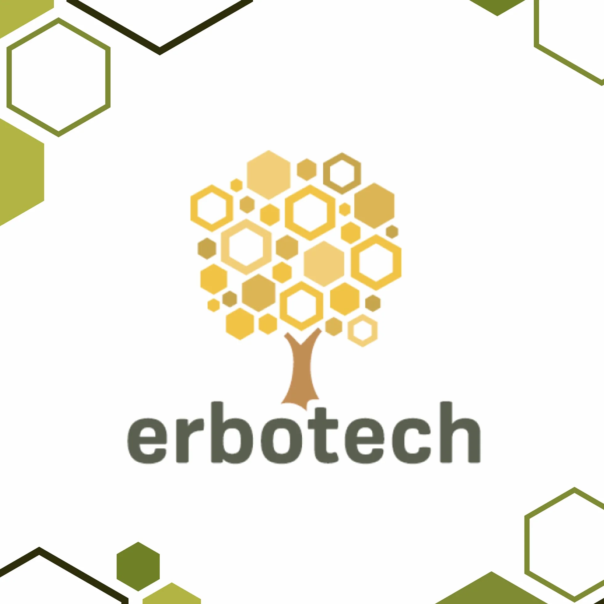 ERBOTECH Matcha BIO Polvo Té Verde Japonés Orgánico 100 g Multivitamínico Natural