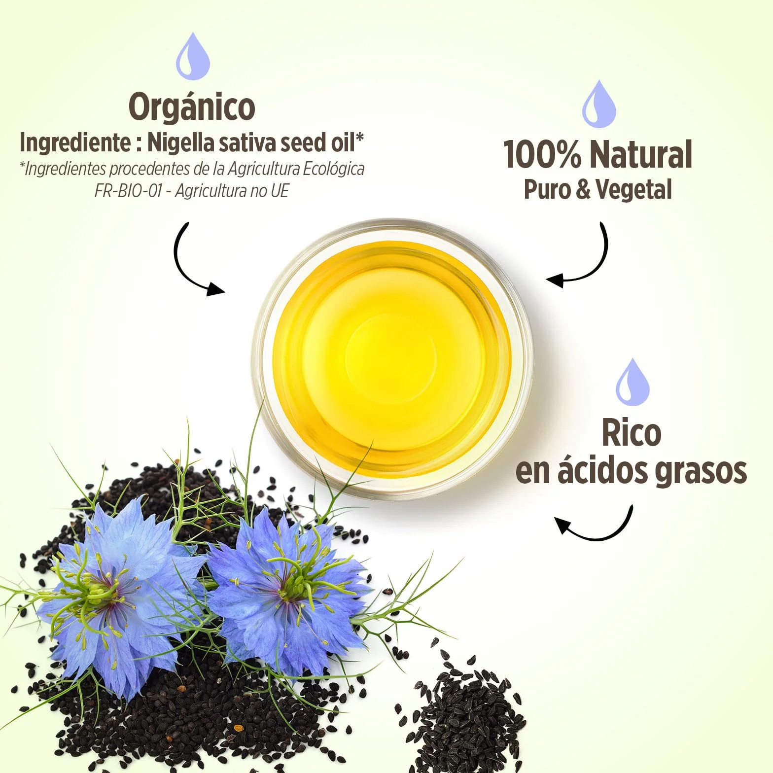 Aceite de Comino Negro Orgánico 150 ml - Nigella sativa - Prensado en Frío