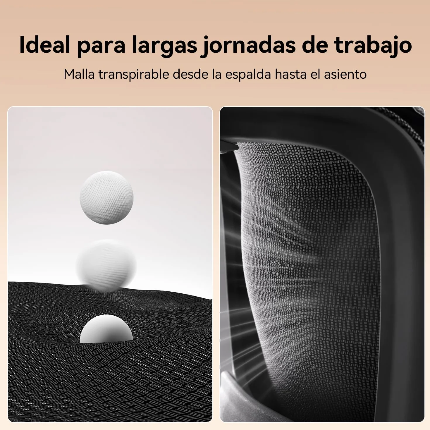 SIHOO Silla de Oficina Ergonómica B100 con Soporte Lumbar, Reposacabezas y Reposabrazos Abatibles, Negra